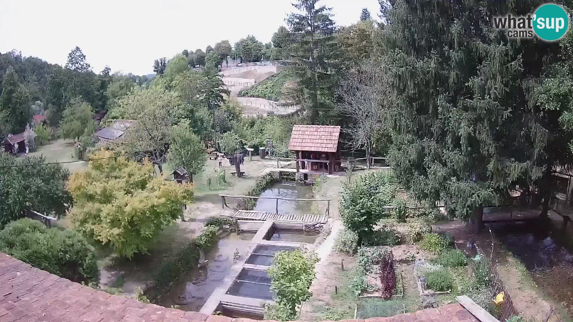Live-Webcam Rastoke – Fluss Slunjčica – Kroatien