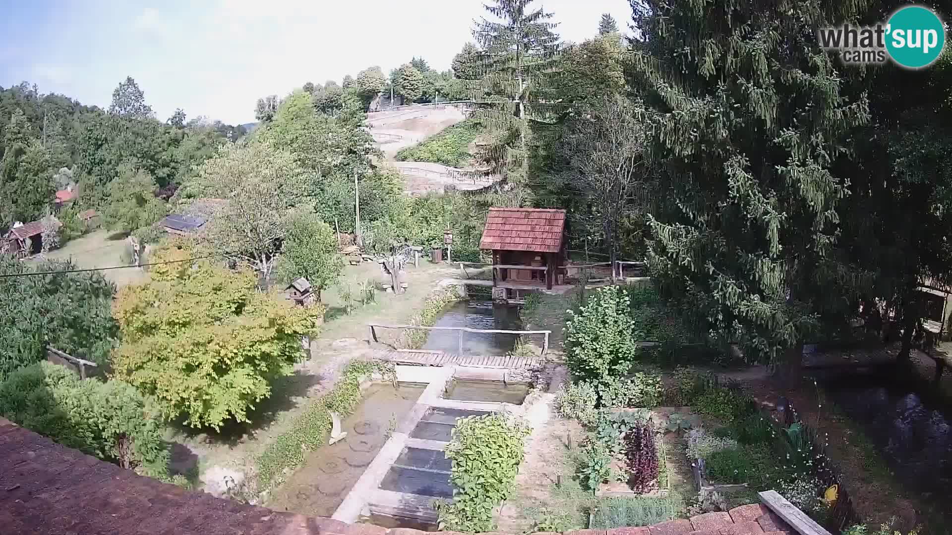 Spletna kamera v živo Rastoke – reka Slunjčica – Hrvaška