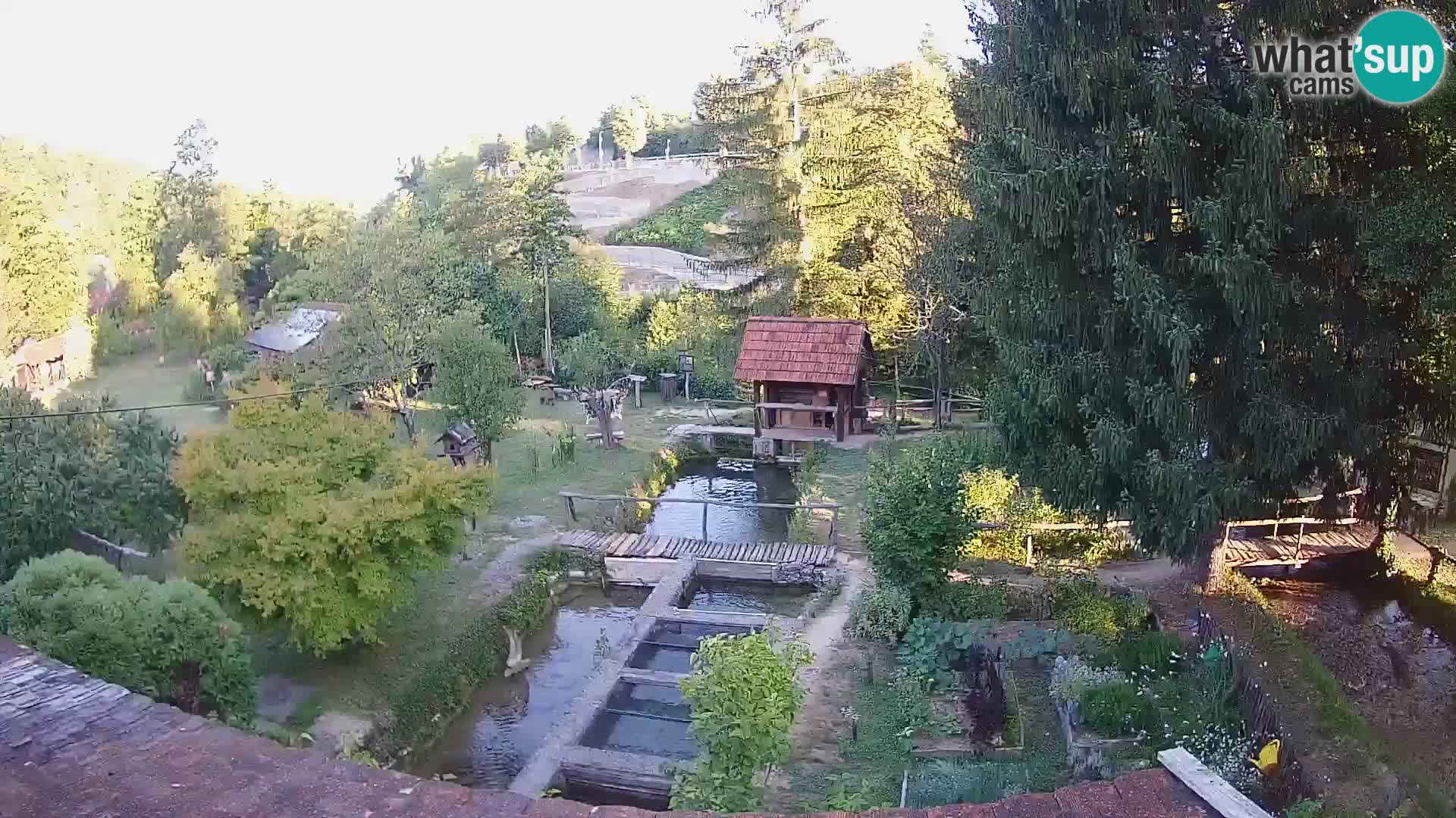 Live-Webcam Rastoke – Fluss Slunjčica – Kroatien