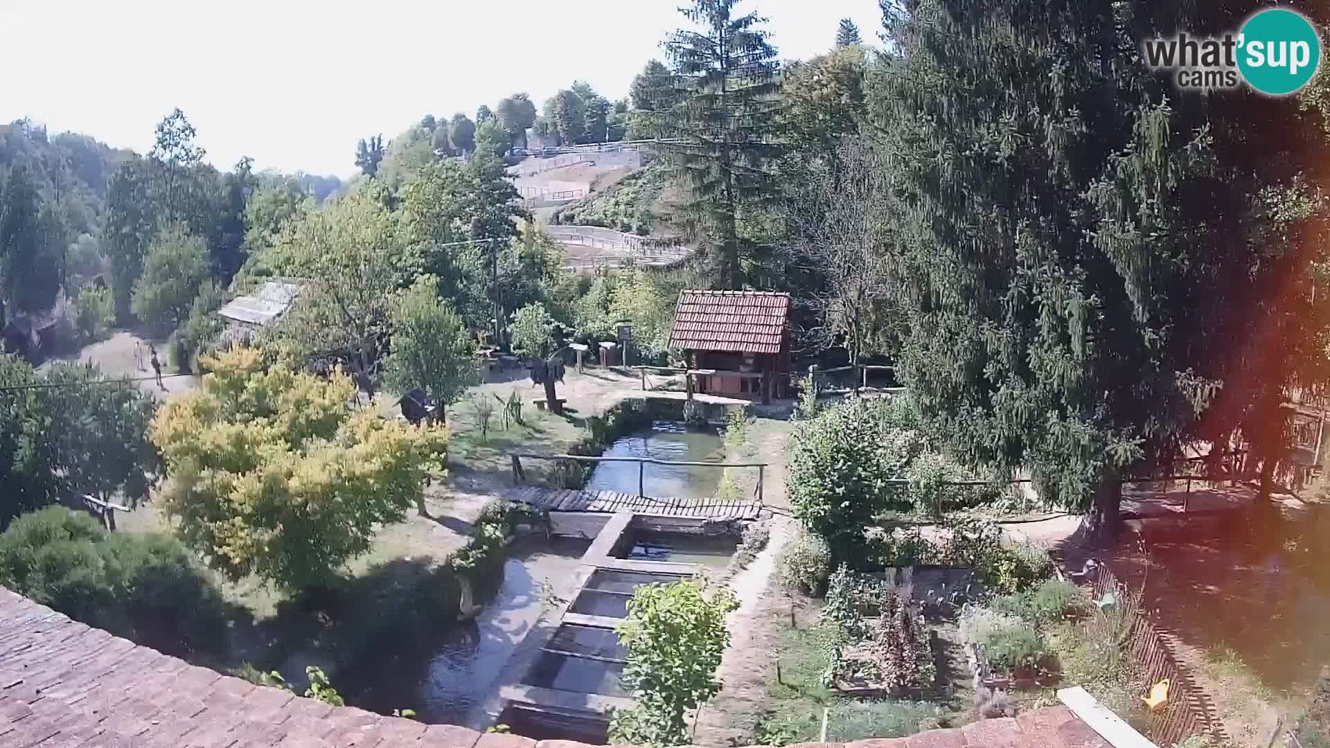 Live-Webcam Rastoke – Fluss Slunjčica – Kroatien