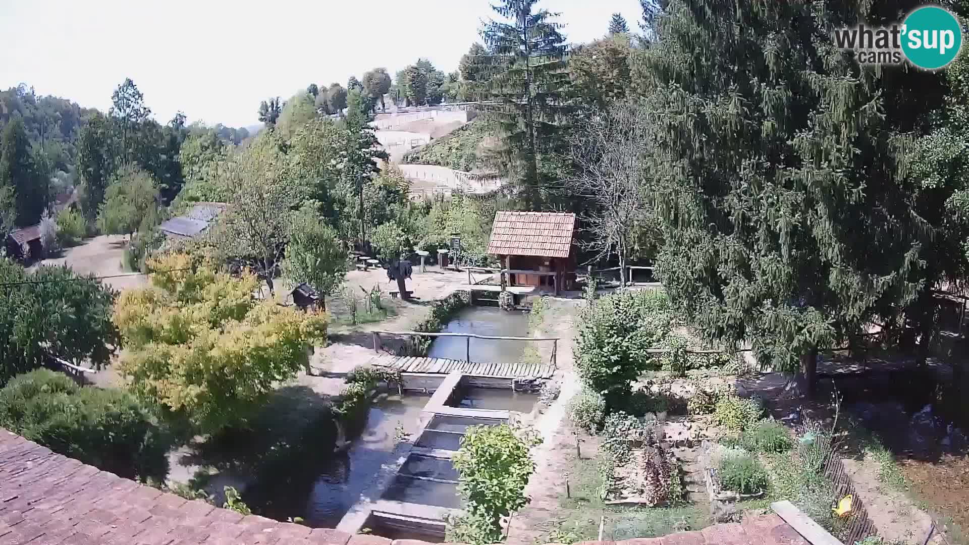 Live-Webcam Rastoke – Fluss Slunjčica – Kroatien