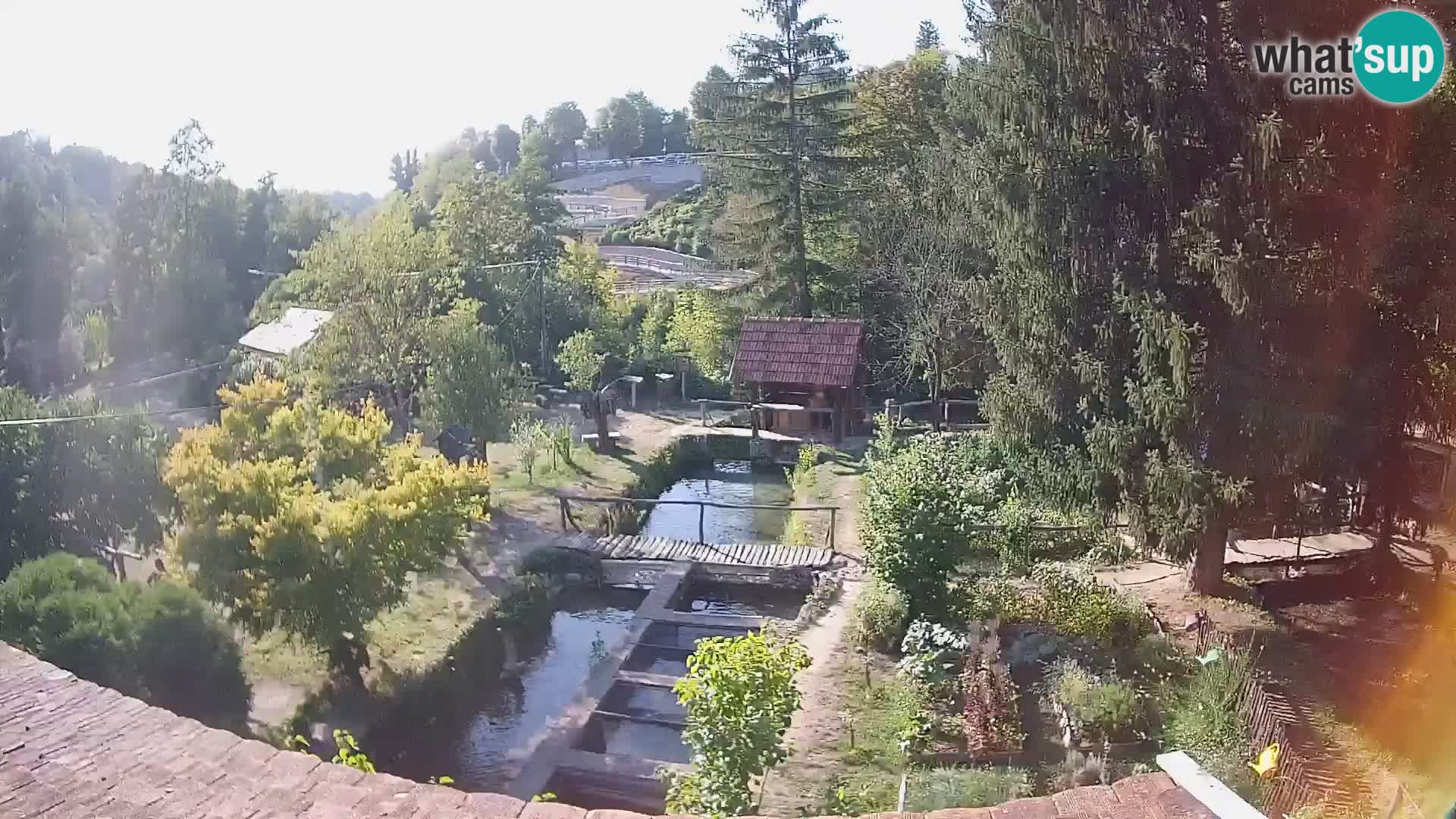 Spletna kamera v živo Rastoke – reka Slunjčica – Hrvaška