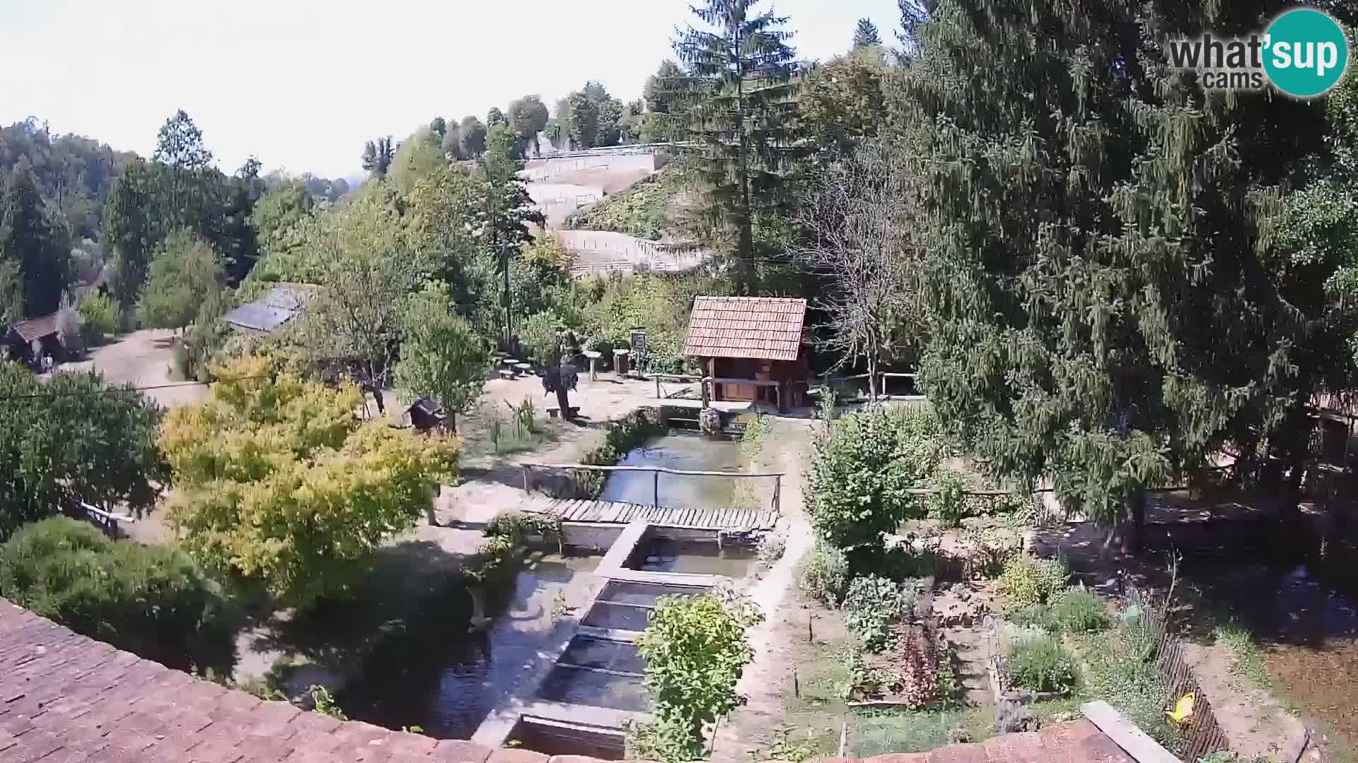 Live webcam Rastoke – fiume Slunjčica – Croazia