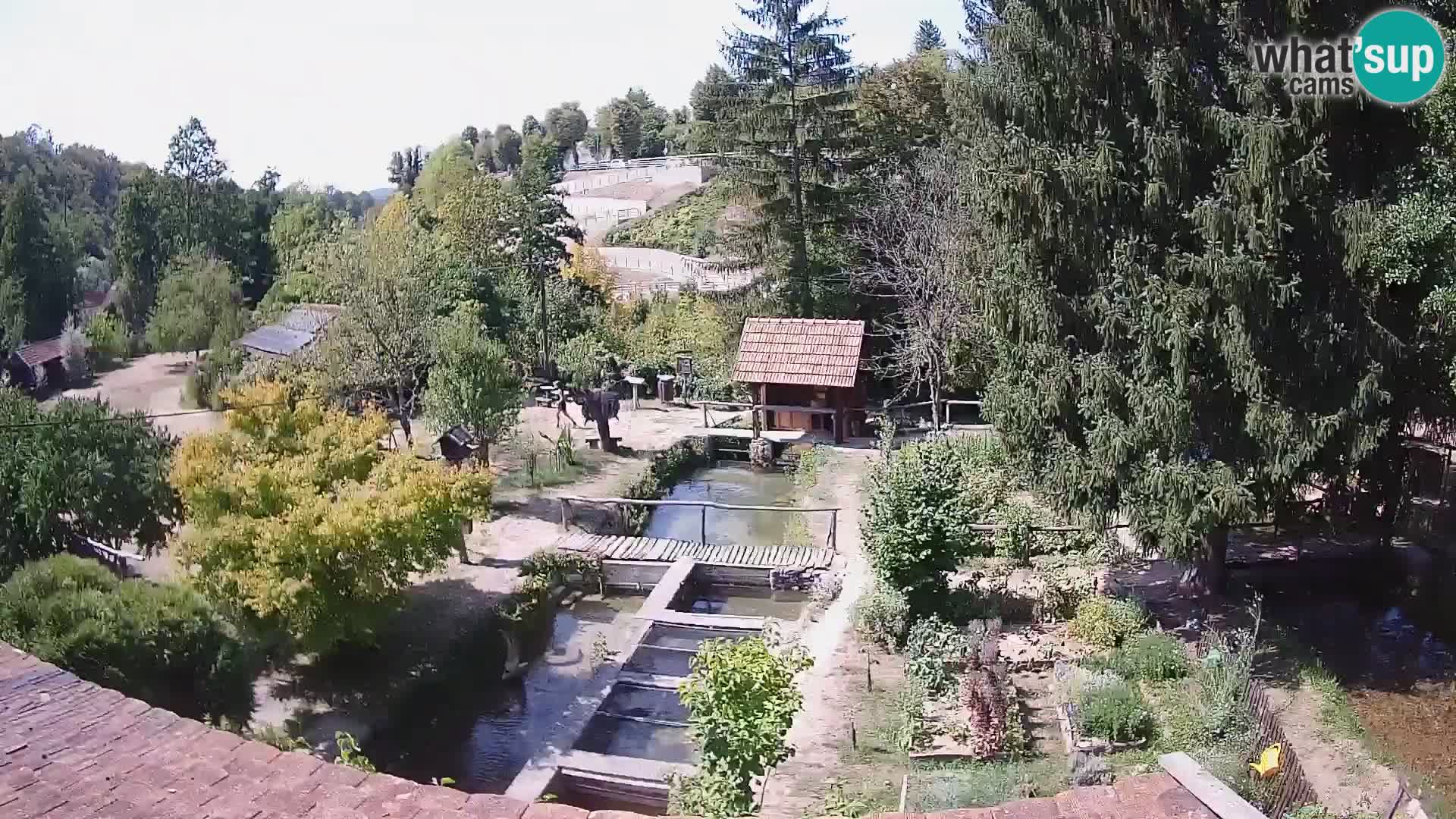Live webcam Rastoke – river Slunjčica – Croatia