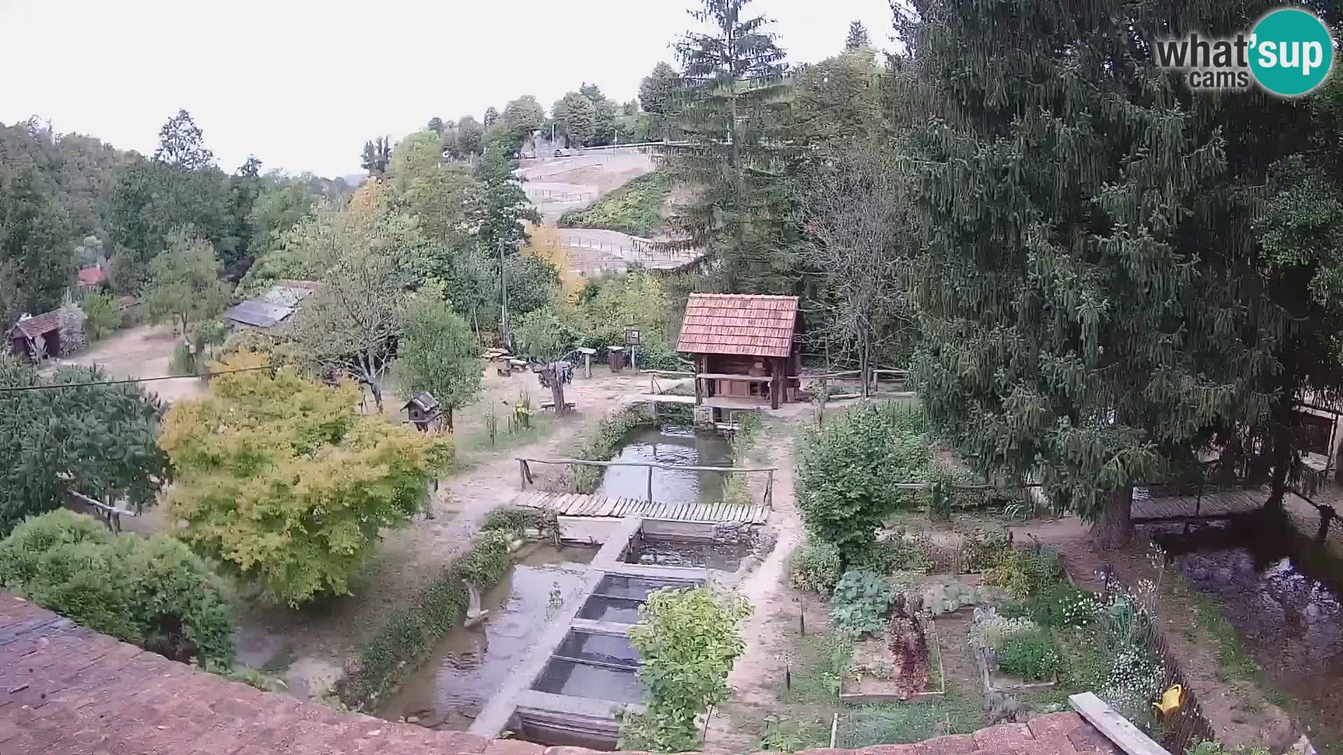 Live webcam Rastoke – river Slunjčica – Croatia