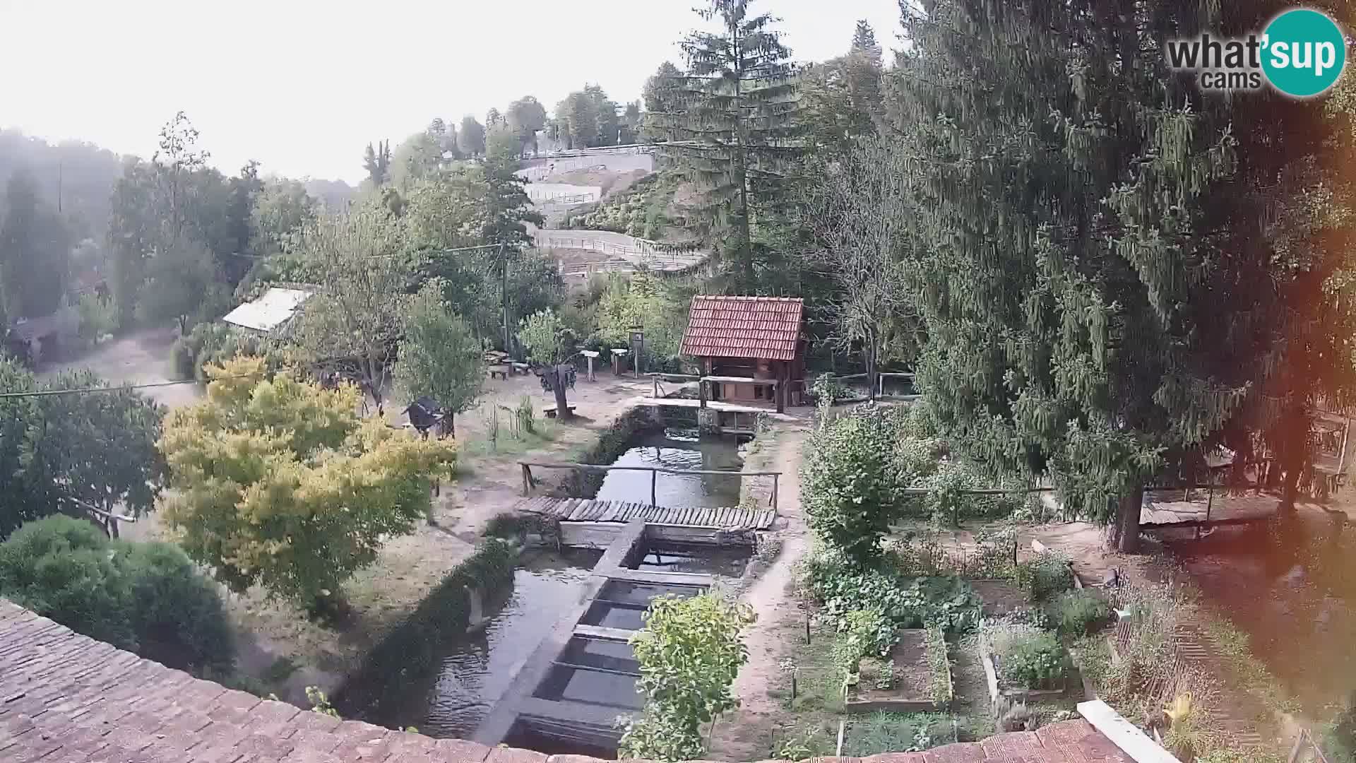 Live-Webcam Rastoke – Fluss Slunjčica – Kroatien