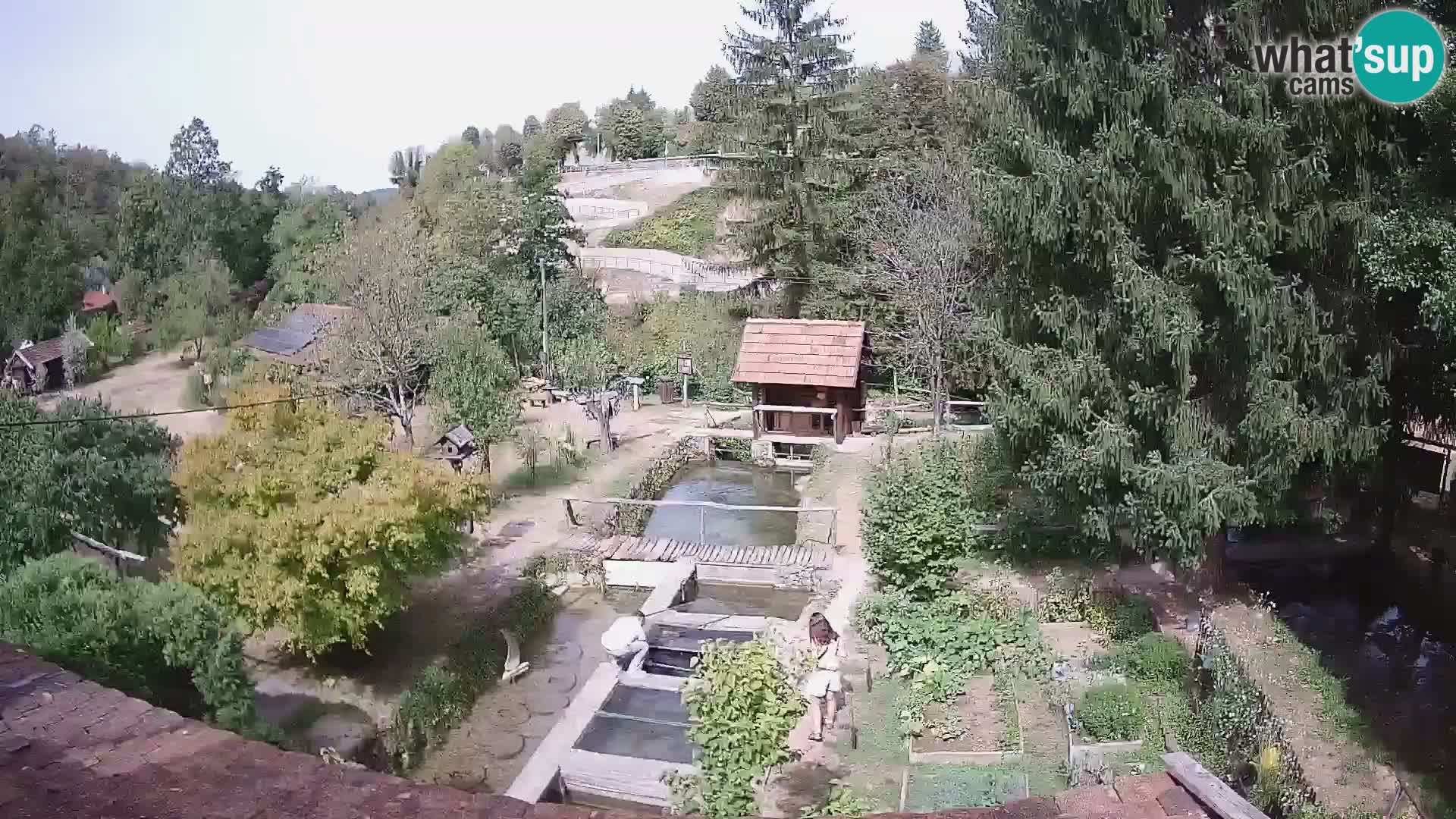 Live webcam Rastoke – river Slunjčica – Croatia
