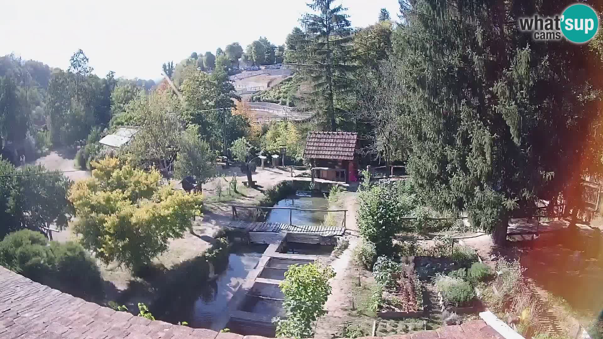 Live webcam Rastoke – river Slunjčica – Croatia