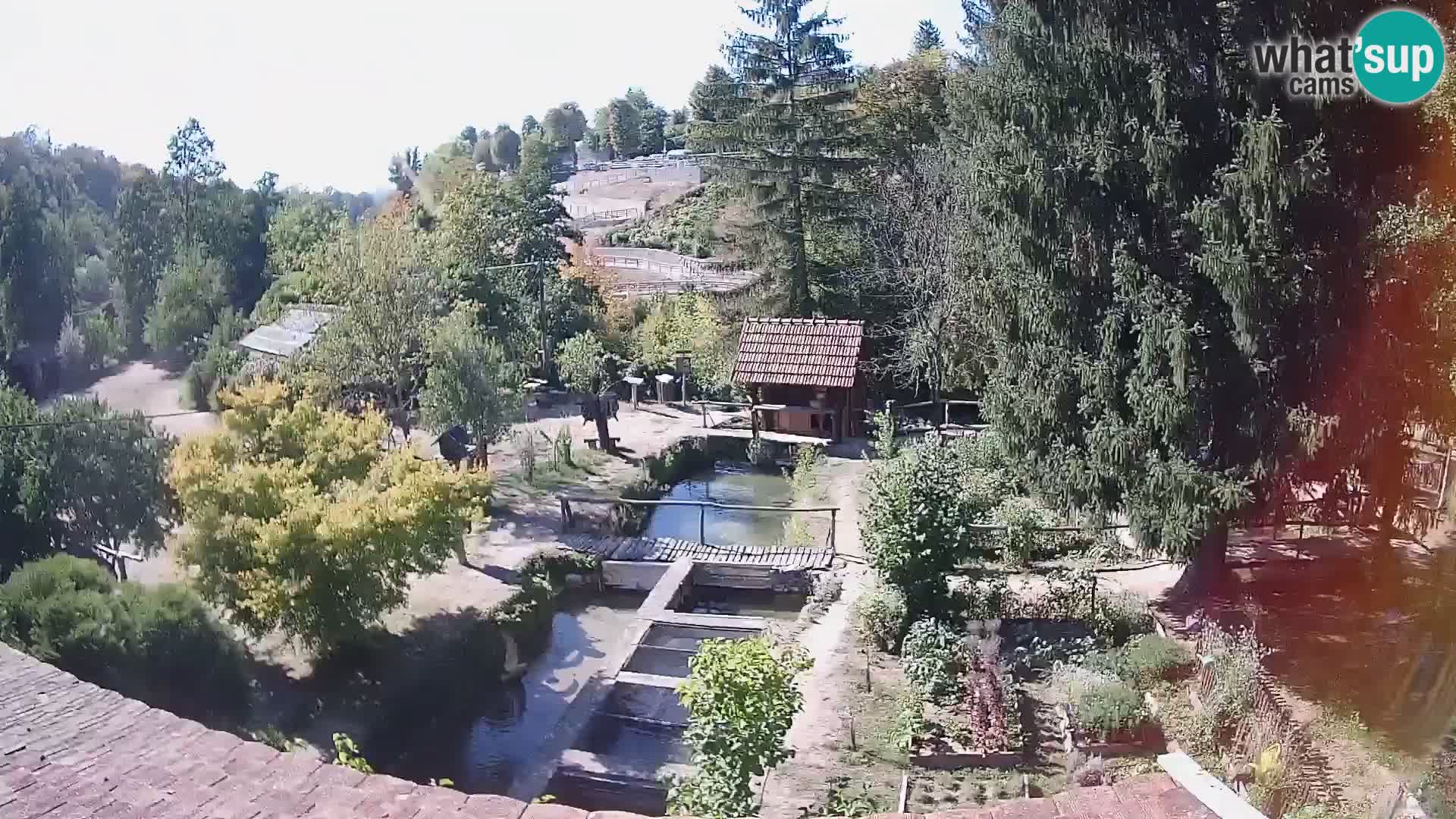 Live webcam Rastoke – river Slunjčica – Croatia