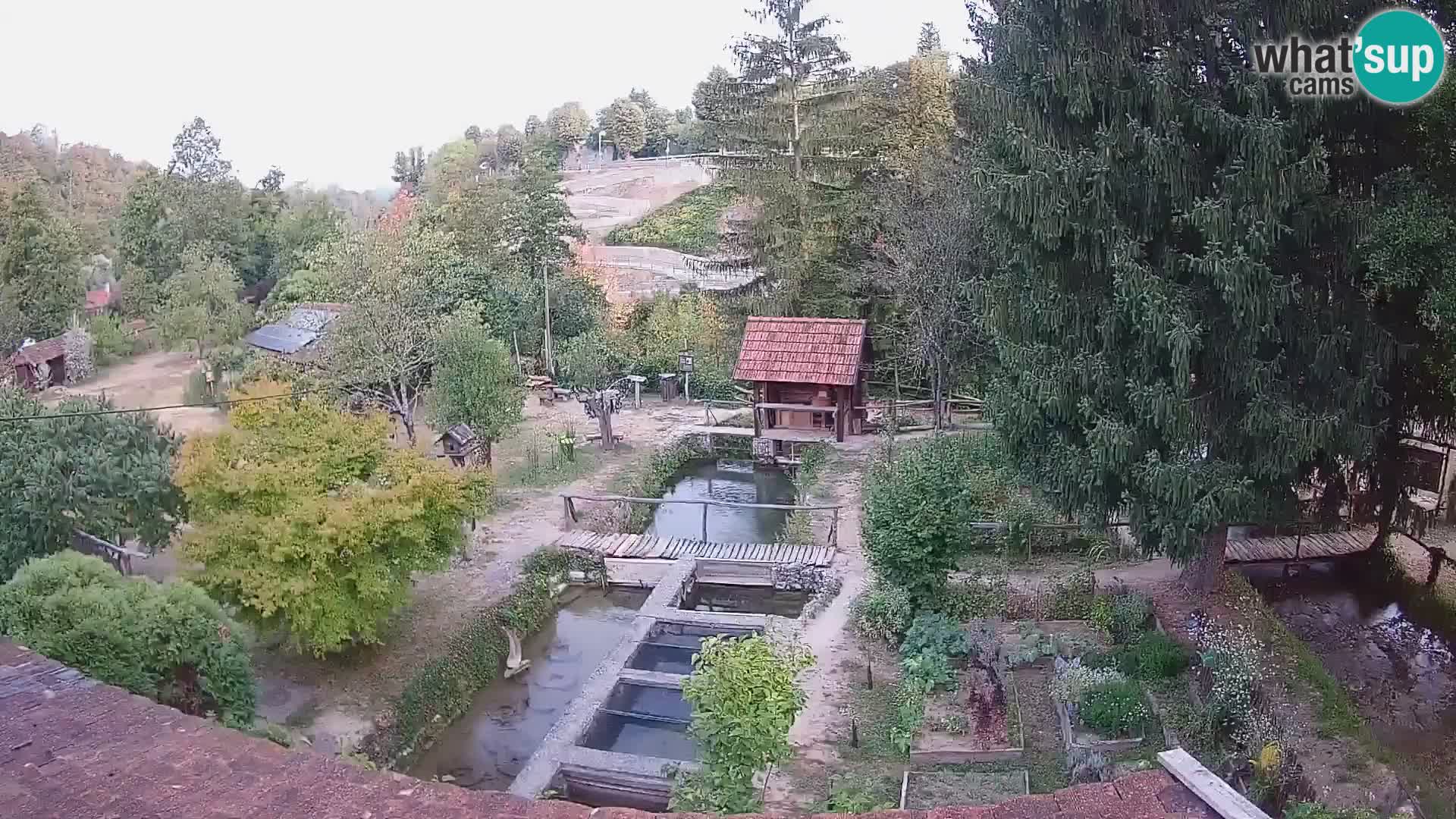 Live webcam Rastoke – river Slunjčica – Croatia