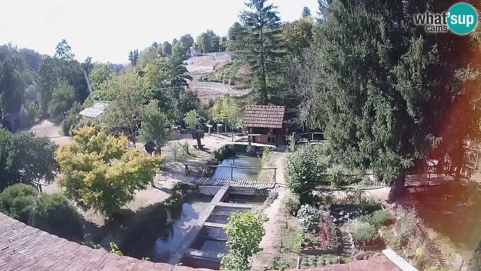 Live webcam Rastoke – river Slunjčica – Croatia