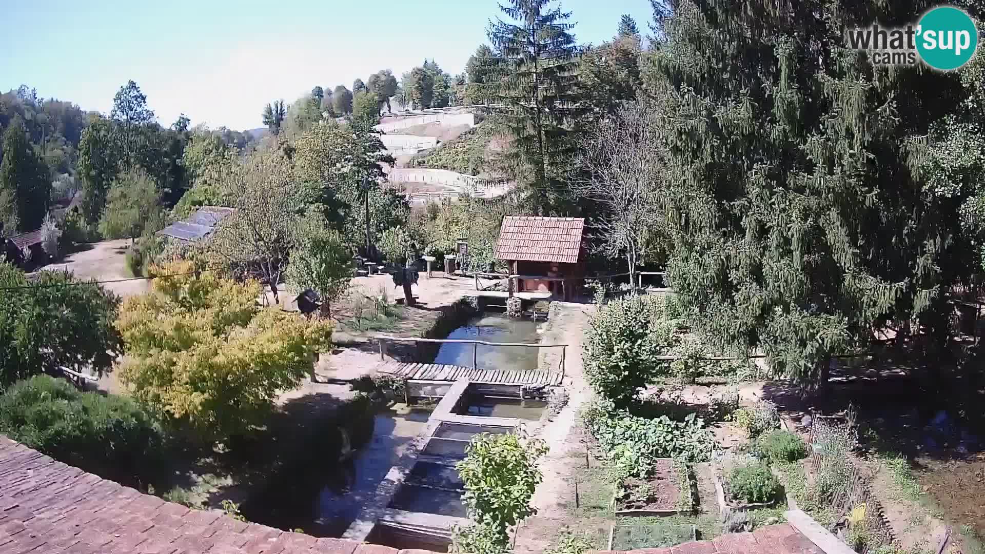 Live webcam Rastoke – fiume Slunjčica – Croazia