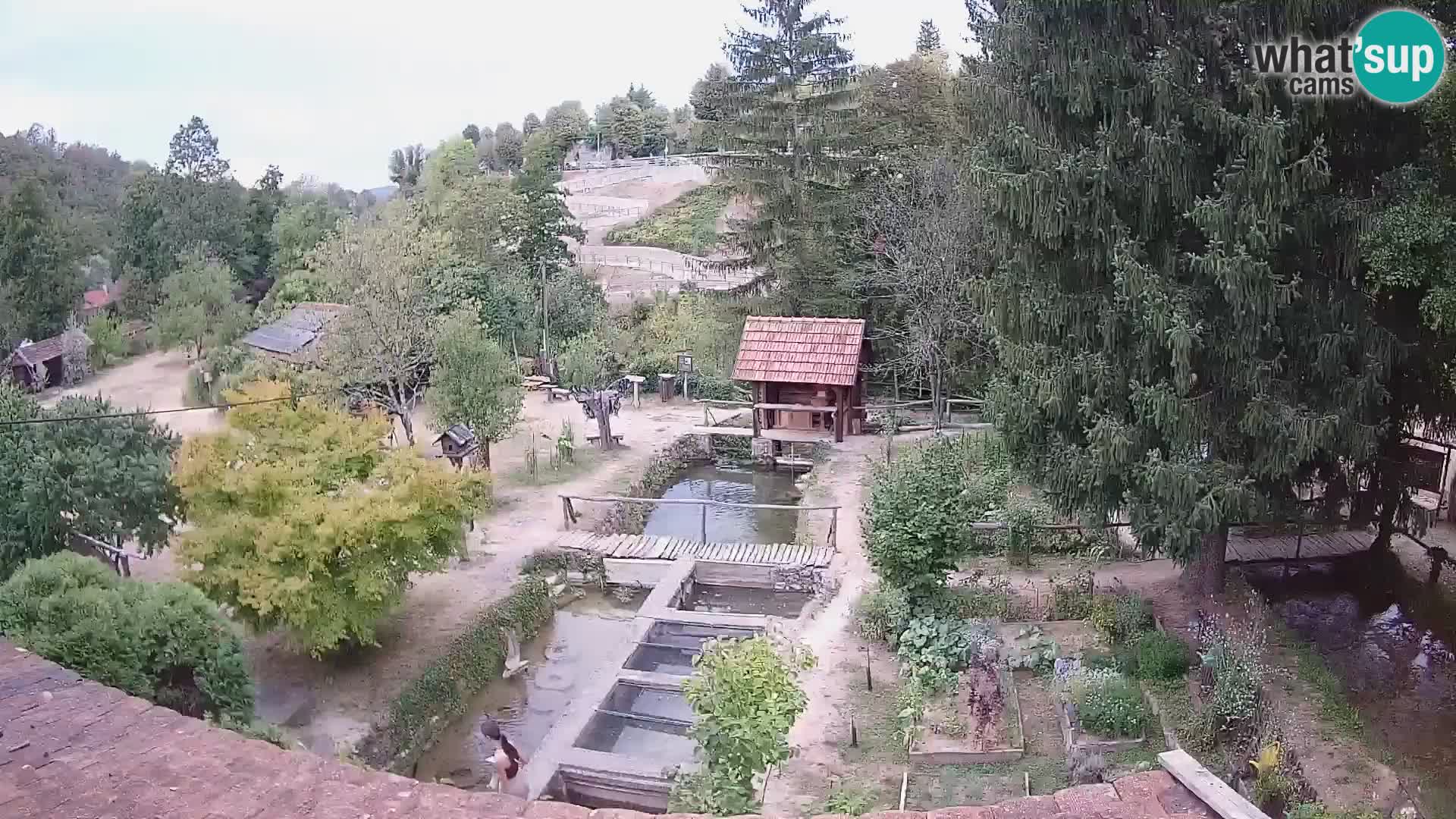 Live webcam Rastoke – river Slunjčica – Croatia
