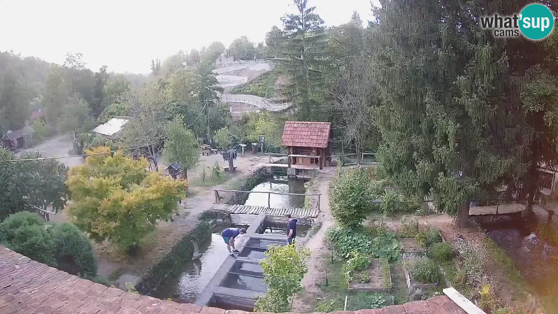 Live-Webcam Rastoke – Fluss Slunjčica – Kroatien