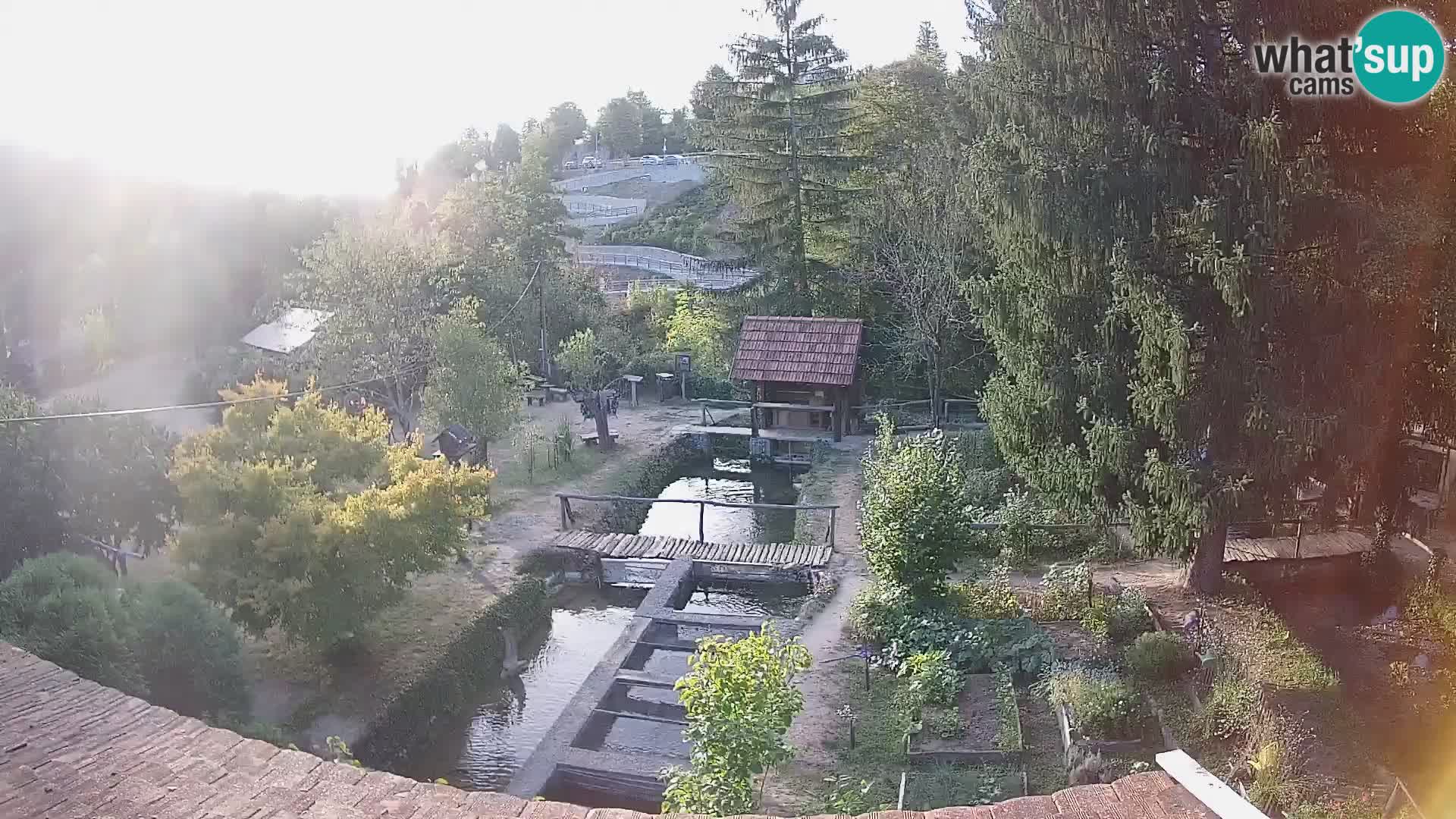 Spletna kamera v živo Rastoke – reka Slunjčica – Hrvaška