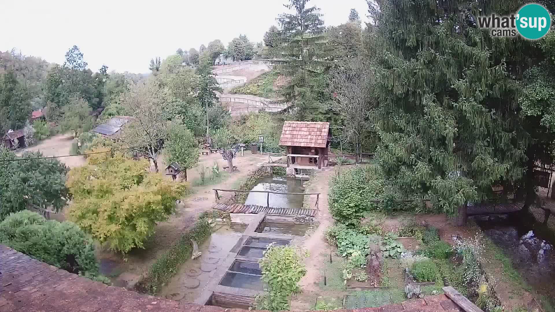 Live-Webcam Rastoke – Fluss Slunjčica – Kroatien