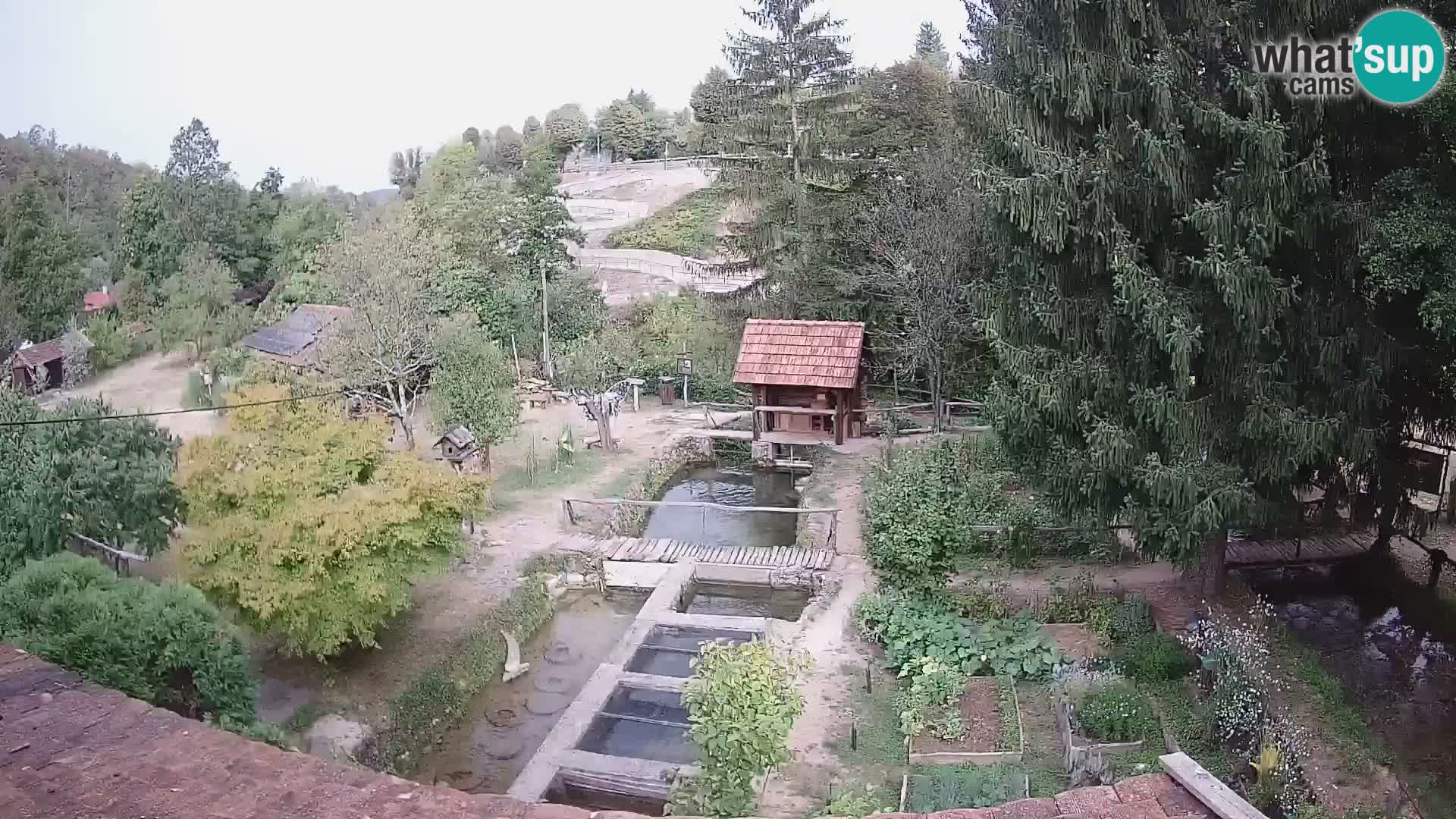 Live-Webcam Rastoke – Fluss Slunjčica – Kroatien