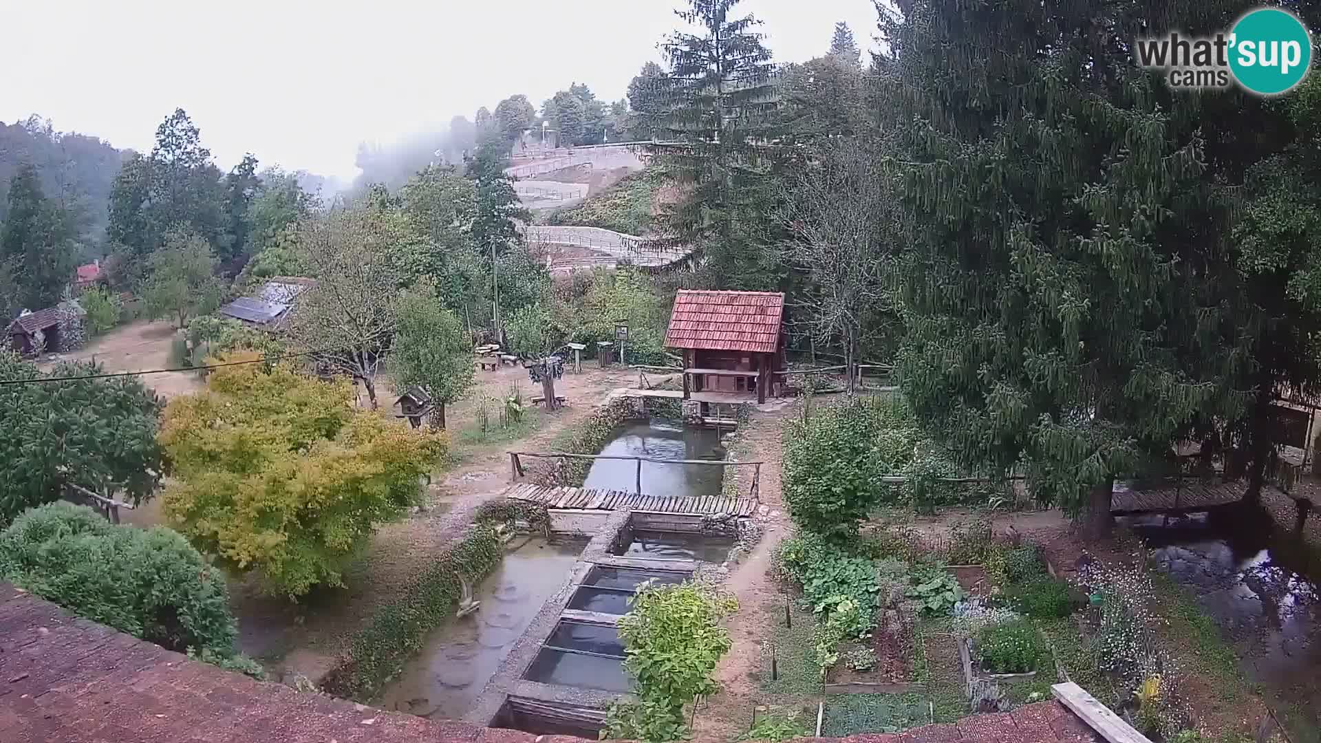 Live-Webcam Rastoke – Fluss Slunjčica – Kroatien