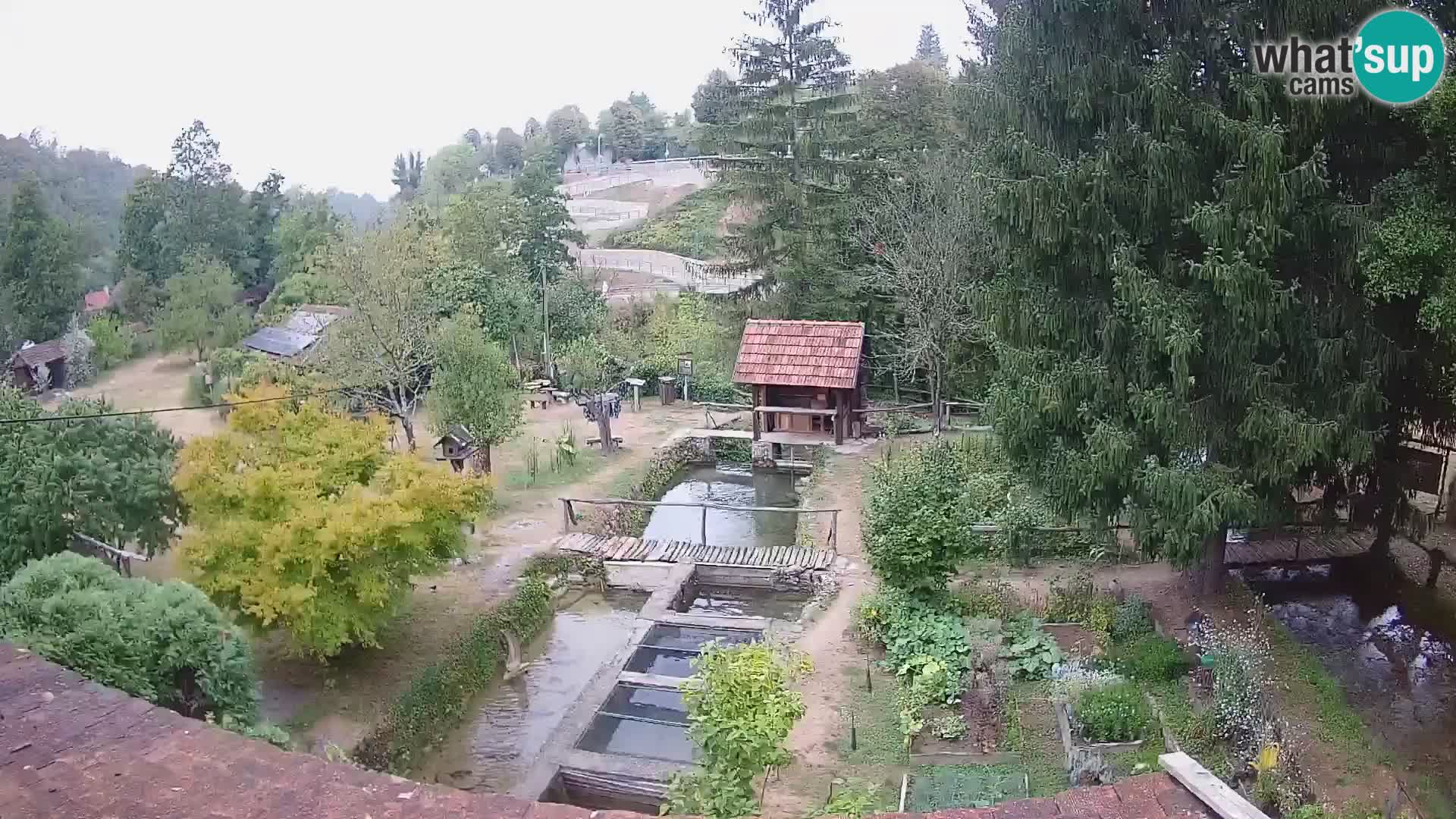 Live-Webcam Rastoke – Fluss Slunjčica – Kroatien