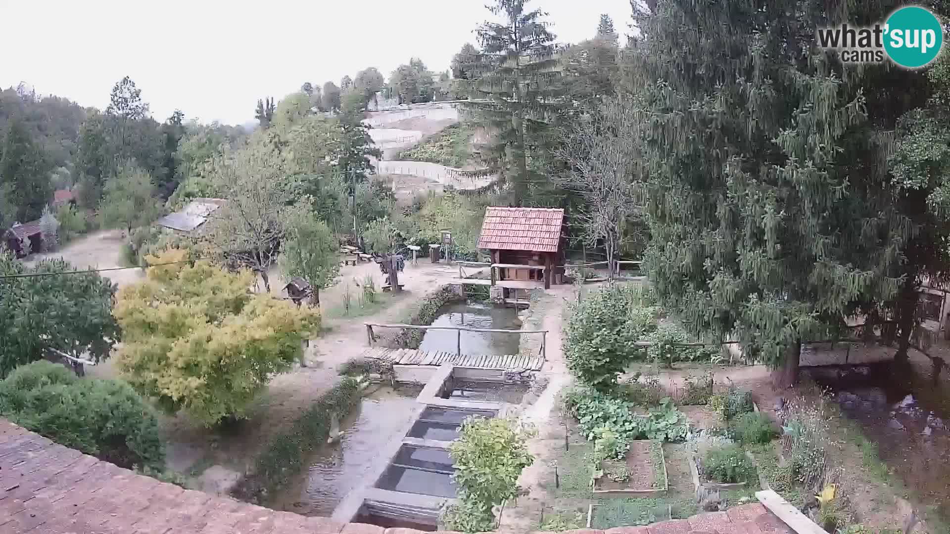 Live webcam Rastoke – river Slunjčica – Croatia