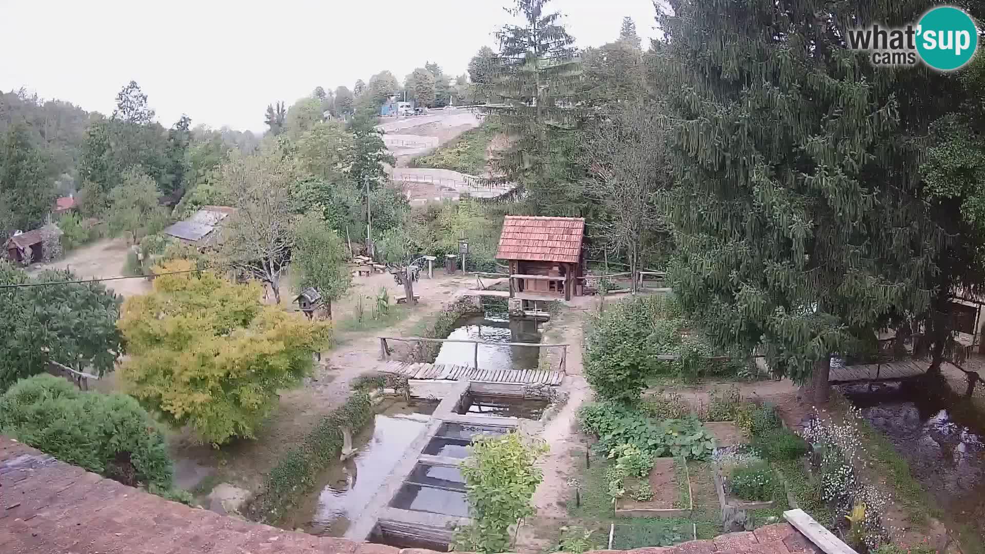 Live-Webcam Rastoke – Fluss Slunjčica – Kroatien