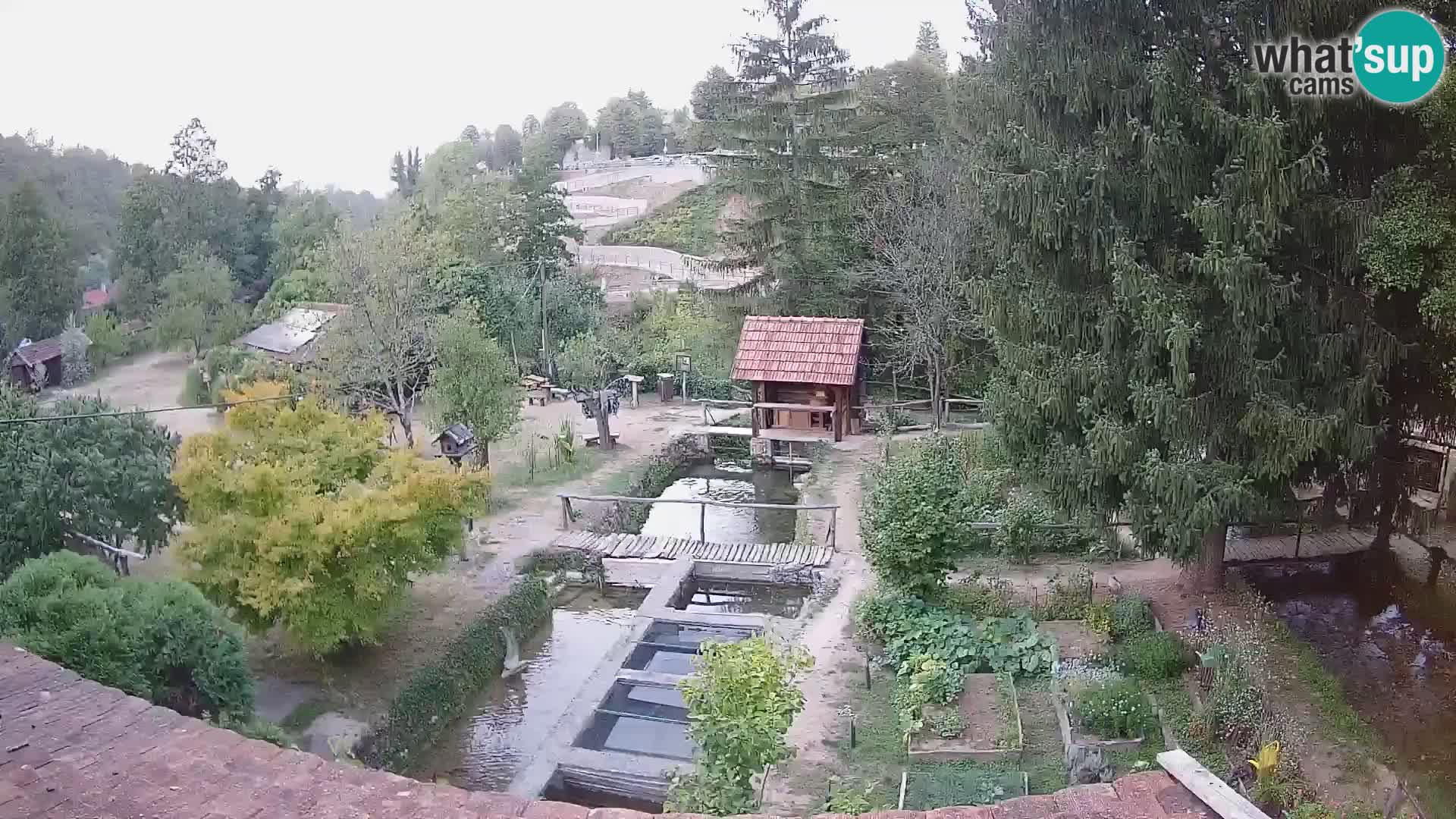 Cámara web en vivo Rastoke – río Slunjčica – Croacia