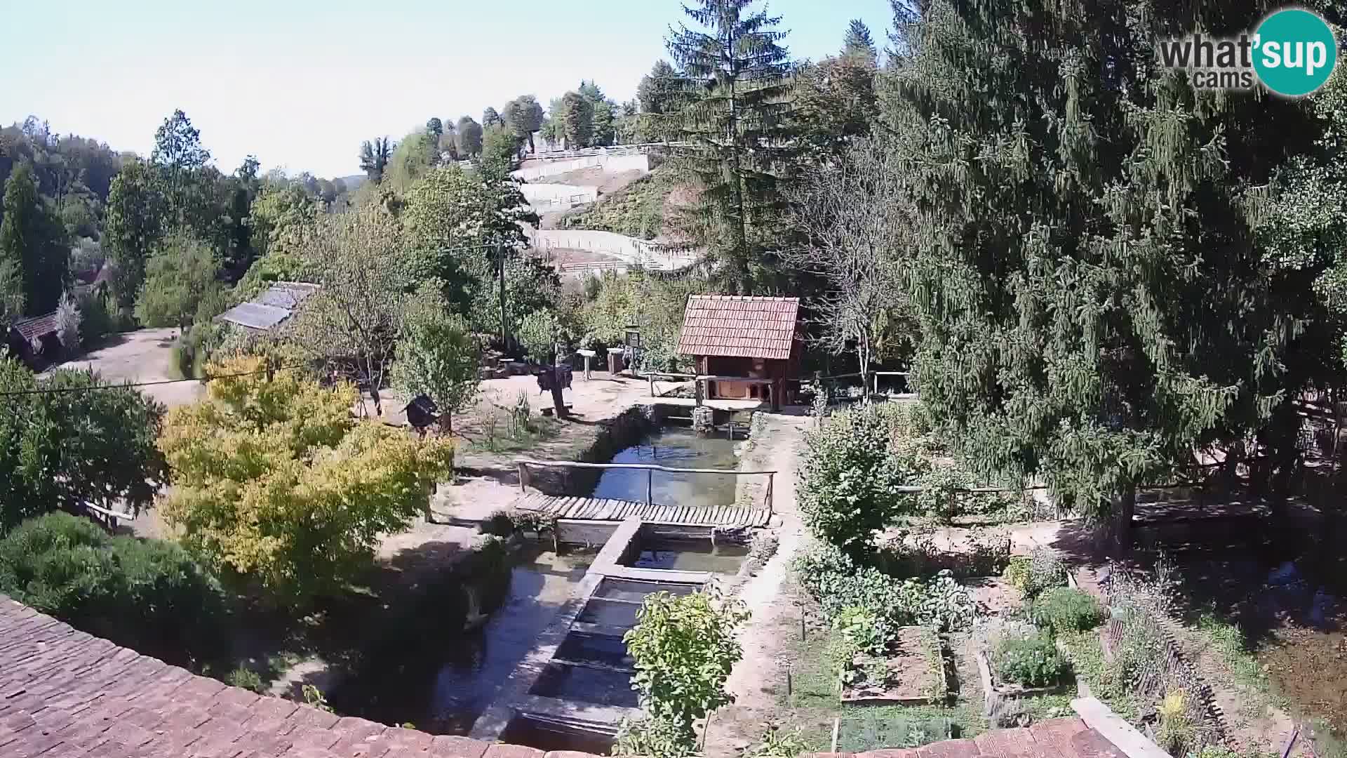 Cámara web en vivo Rastoke – río Slunjčica – Croacia