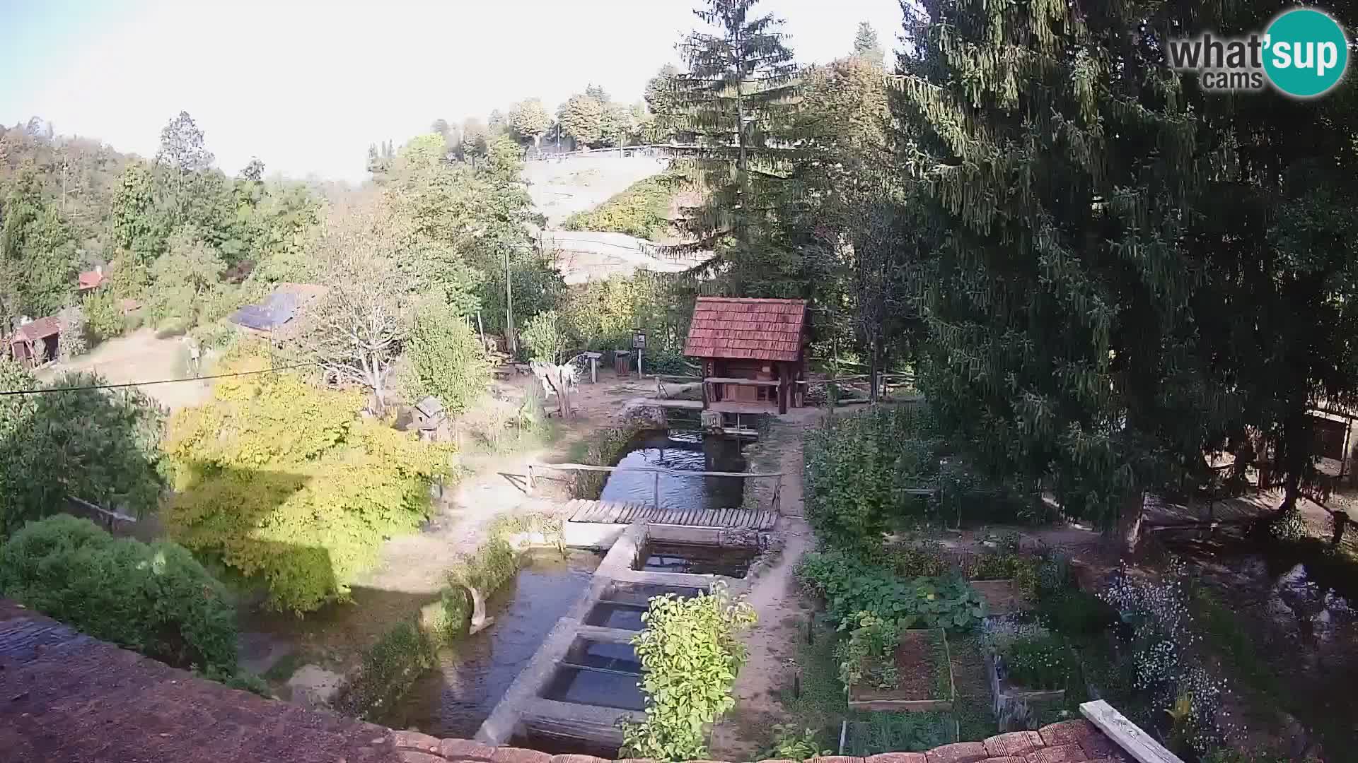 Live-Webcam Rastoke – Fluss Slunjčica – Kroatien