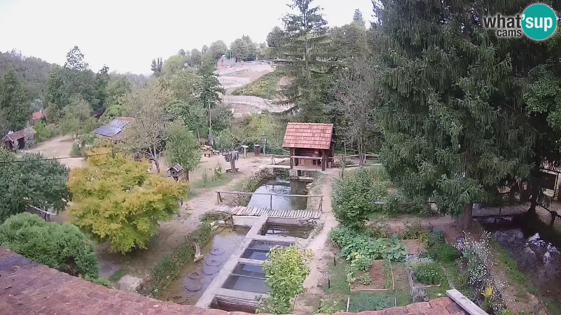 Live-Webcam Rastoke – Fluss Slunjčica – Kroatien