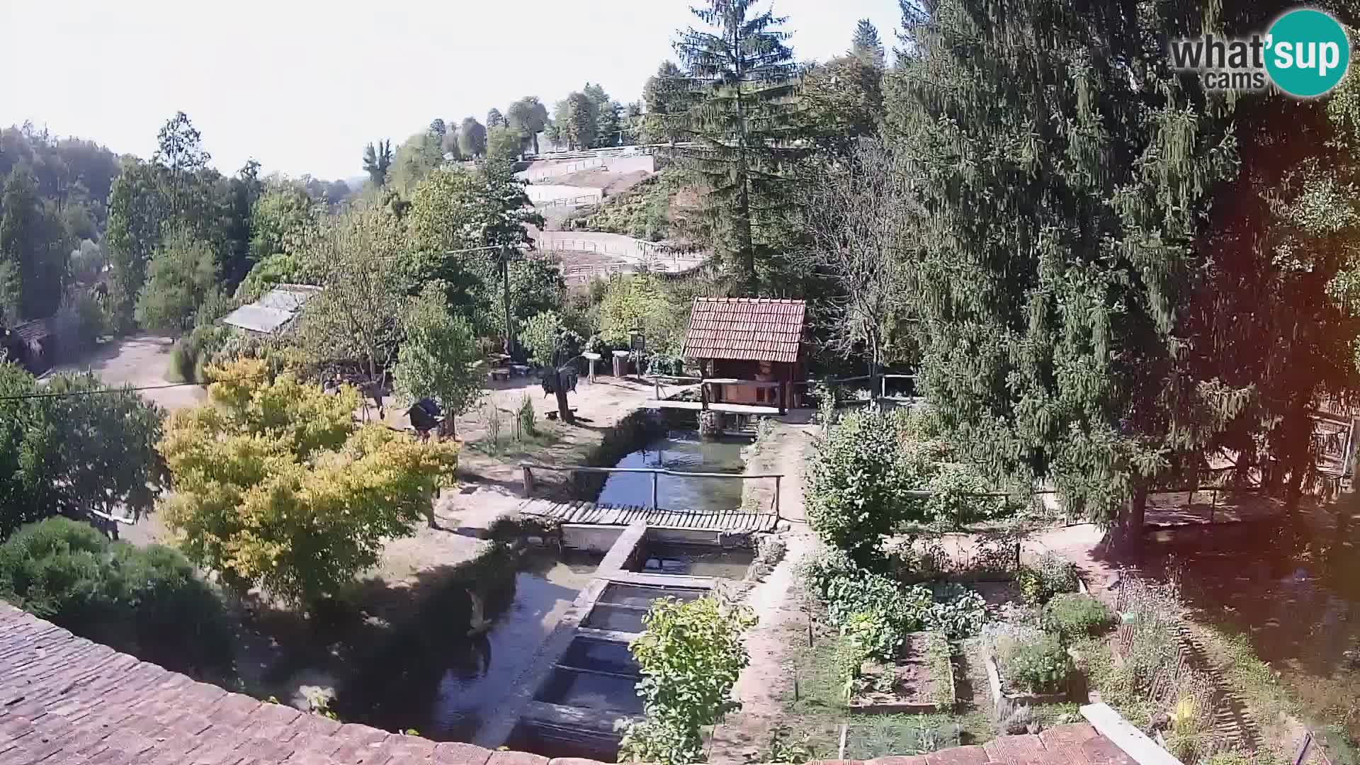 Live-Webcam Rastoke – Fluss Slunjčica – Kroatien