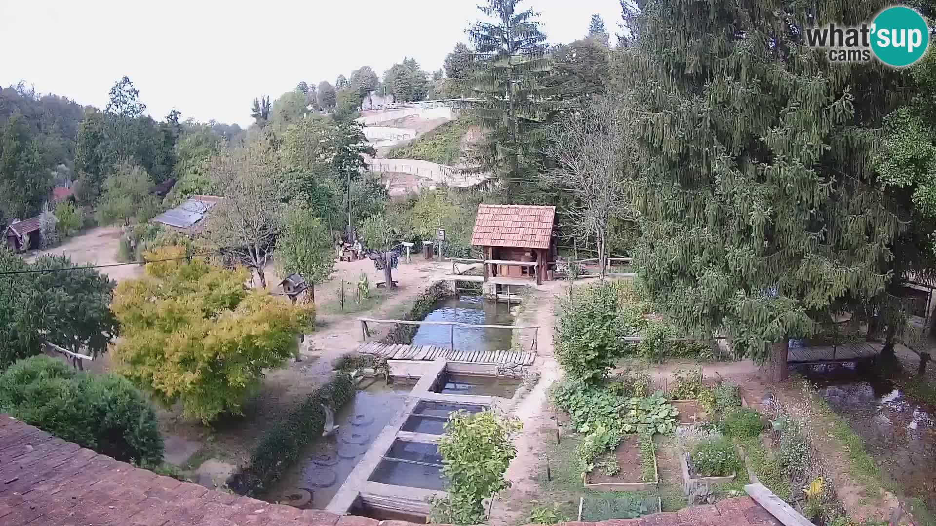 Live webcam Rastoke – fiume Slunjčica – Croazia