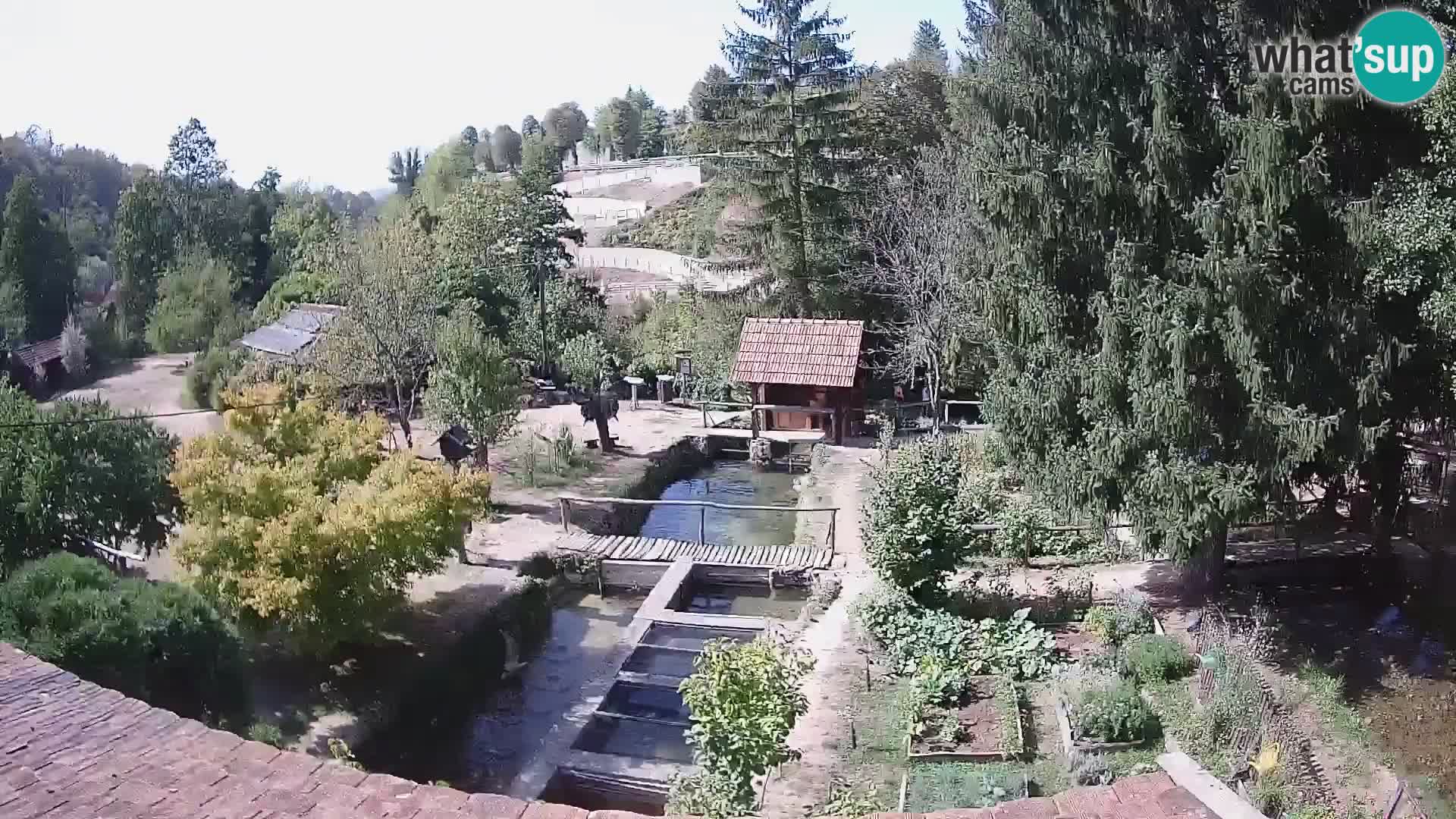 Live webcam Rastoke – river Slunjčica – Croatia