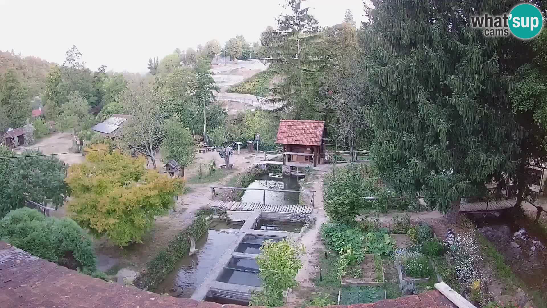 Live-Webcam Rastoke – Fluss Slunjčica – Kroatien