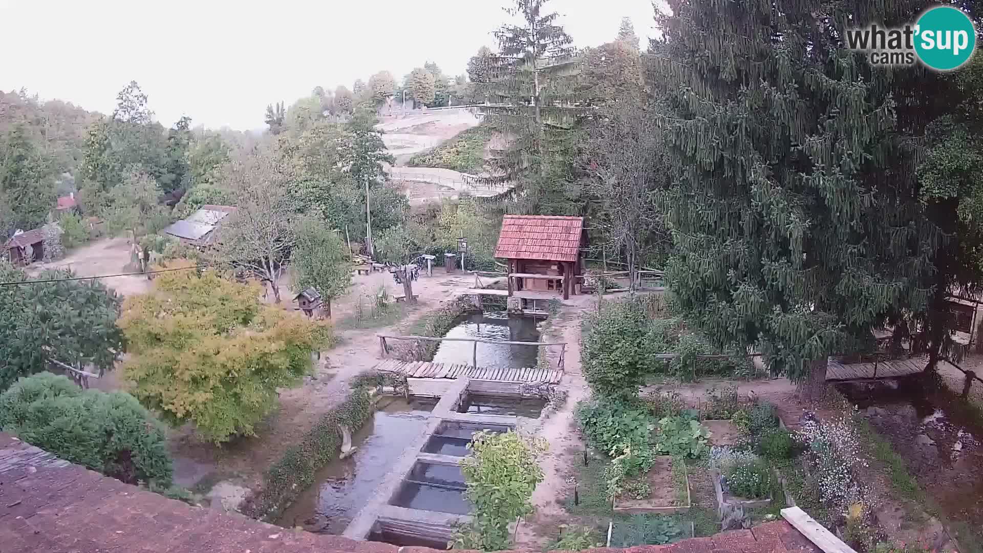Spletna kamera v živo Rastoke – reka Slunjčica – Hrvaška