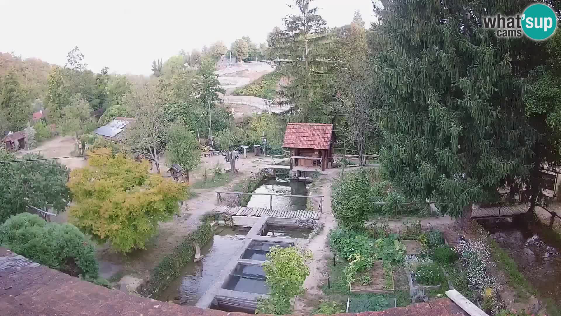 Live-Webcam Rastoke – Fluss Slunjčica – Kroatien