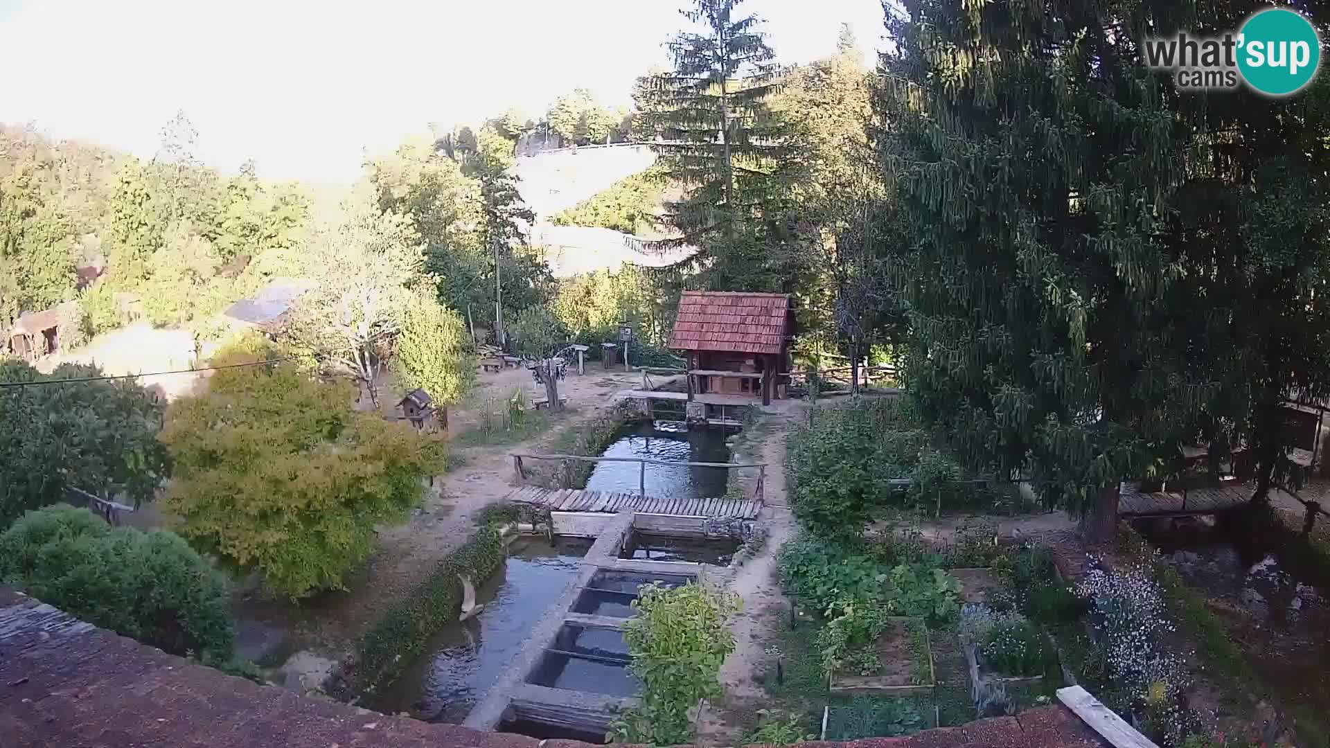 Live-Webcam Rastoke – Fluss Slunjčica – Kroatien