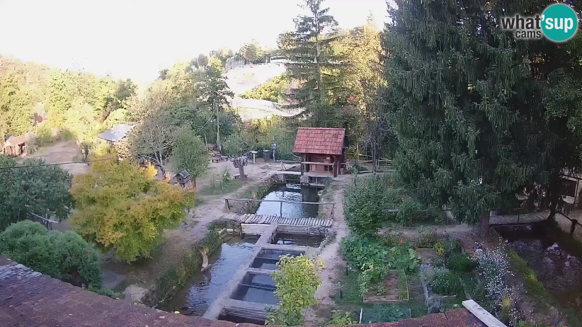 Spletna kamera v živo Rastoke – reka Slunjčica – Hrvaška