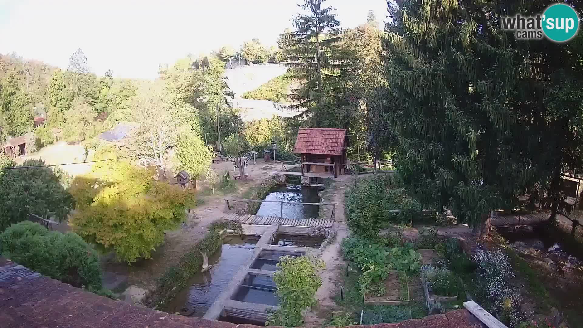 Cámara web en vivo Rastoke – río Slunjčica – Croacia
