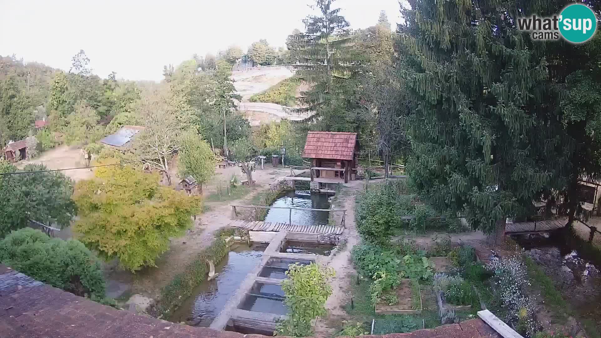 Spletna kamera v živo Rastoke – reka Slunjčica – Hrvaška