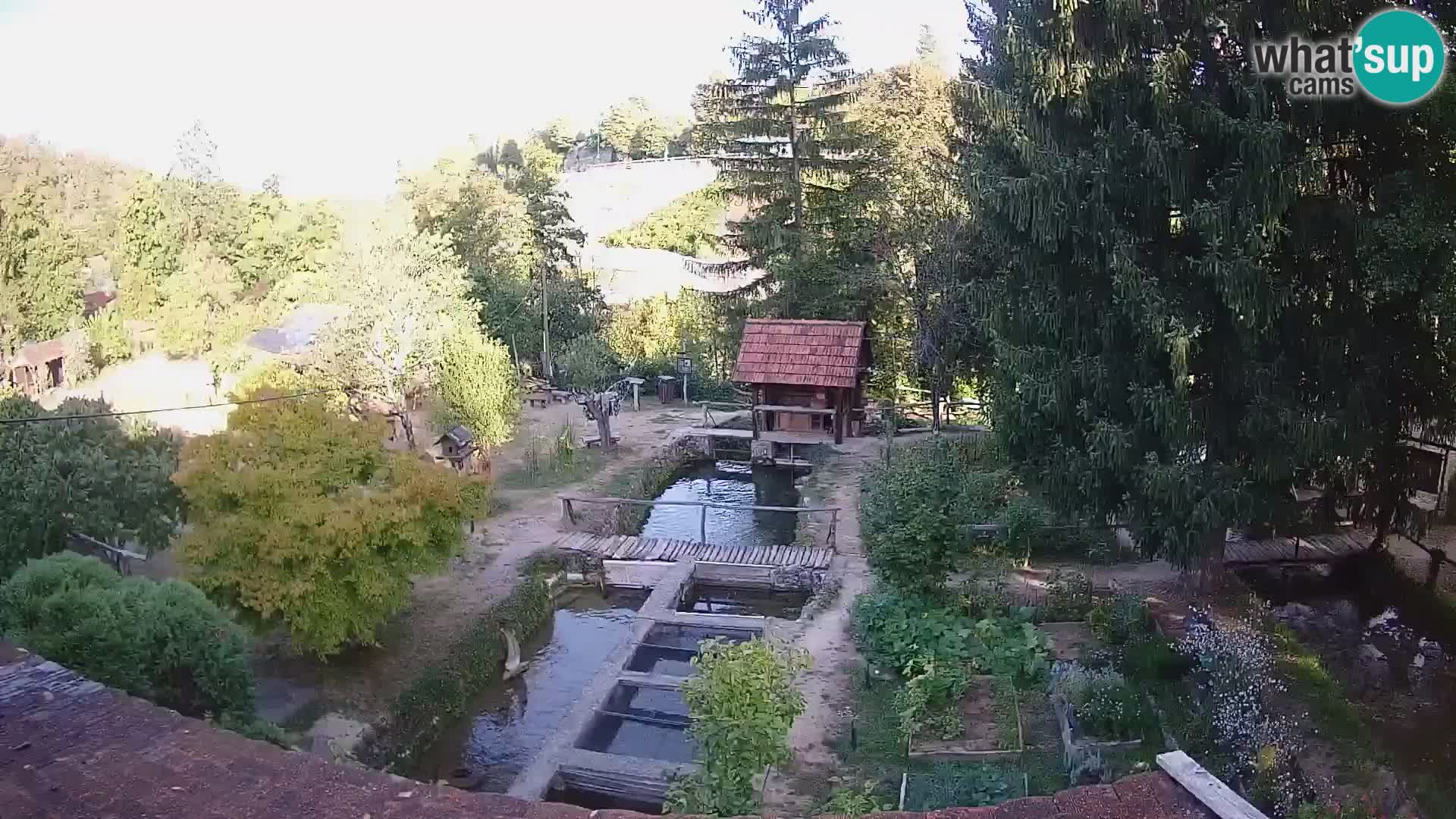 Cámara web en vivo Rastoke – río Slunjčica – Croacia