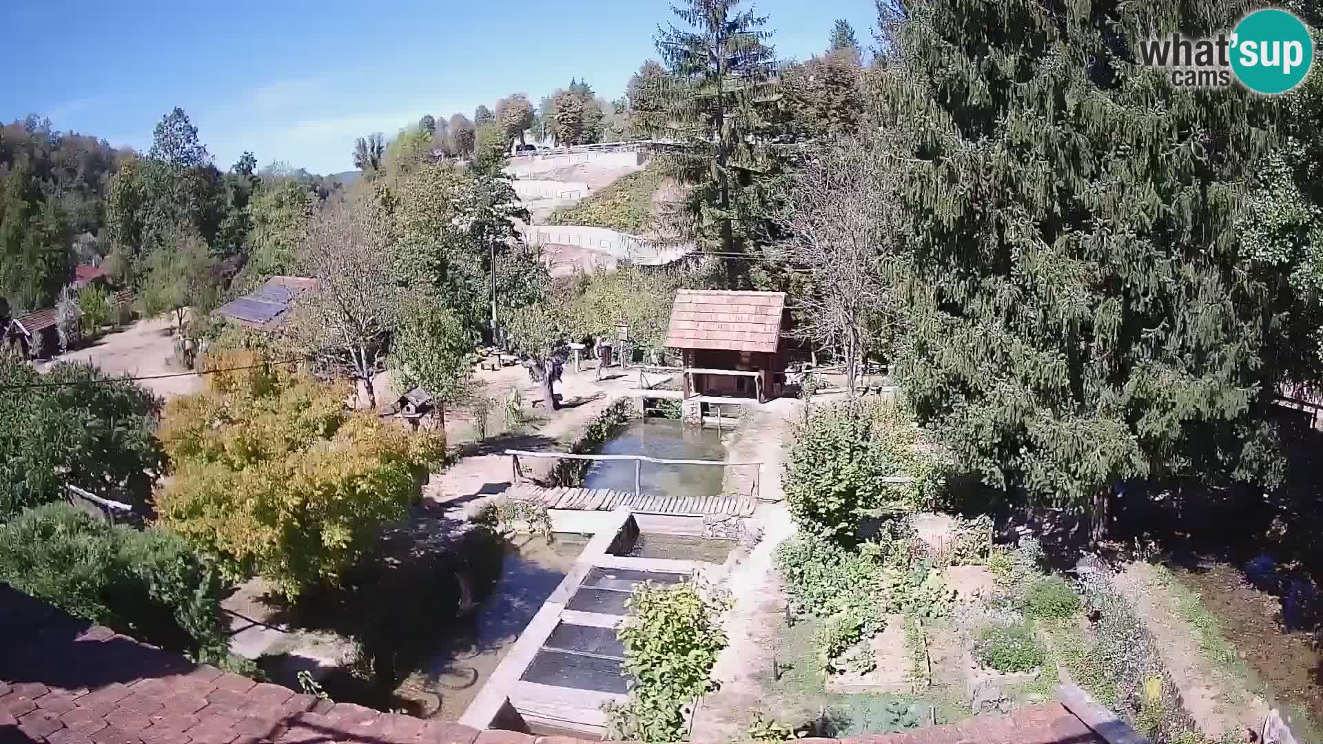 Spletna kamera v živo Rastoke – reka Slunjčica – Hrvaška