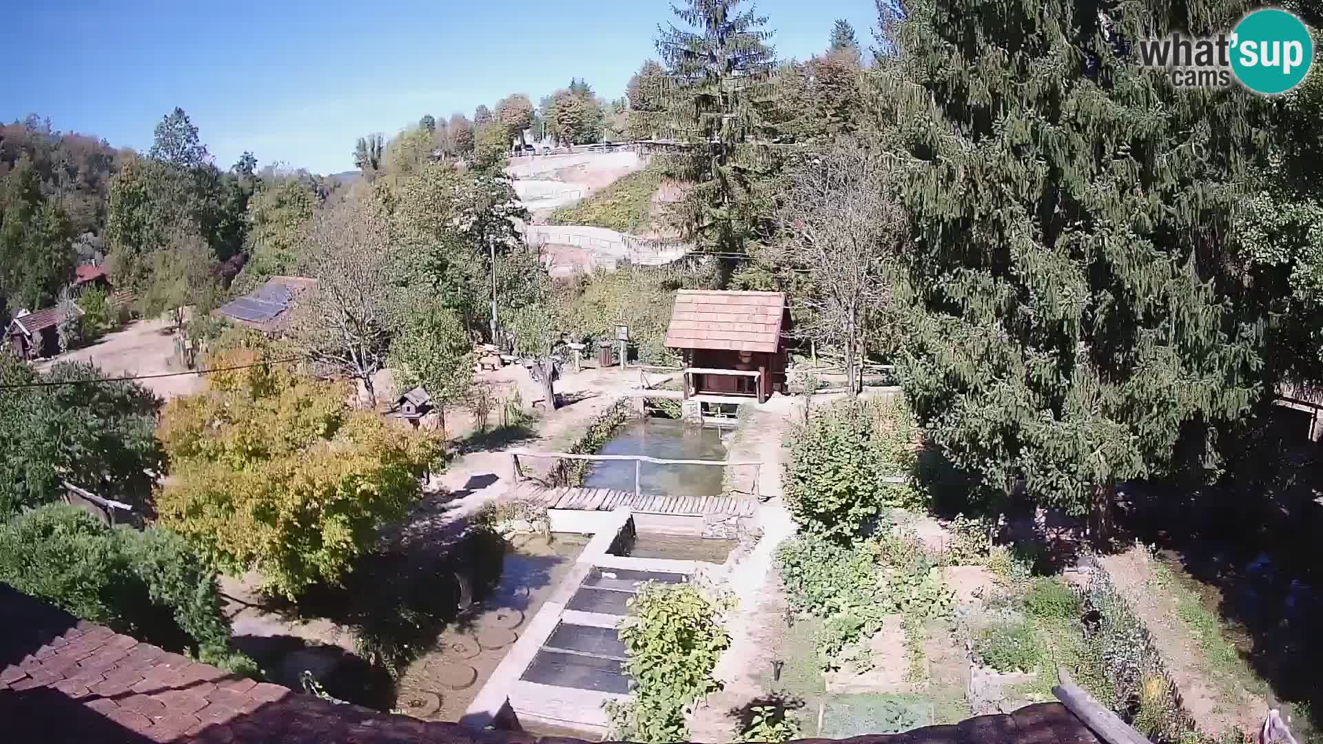 Cámara web en vivo Rastoke – río Slunjčica – Croacia