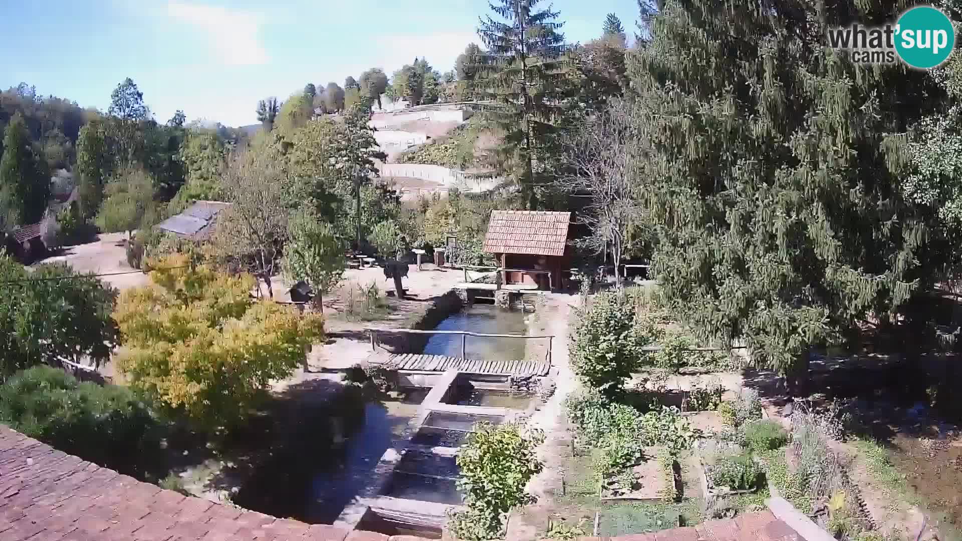Cámara web en vivo Rastoke – río Slunjčica – Croacia