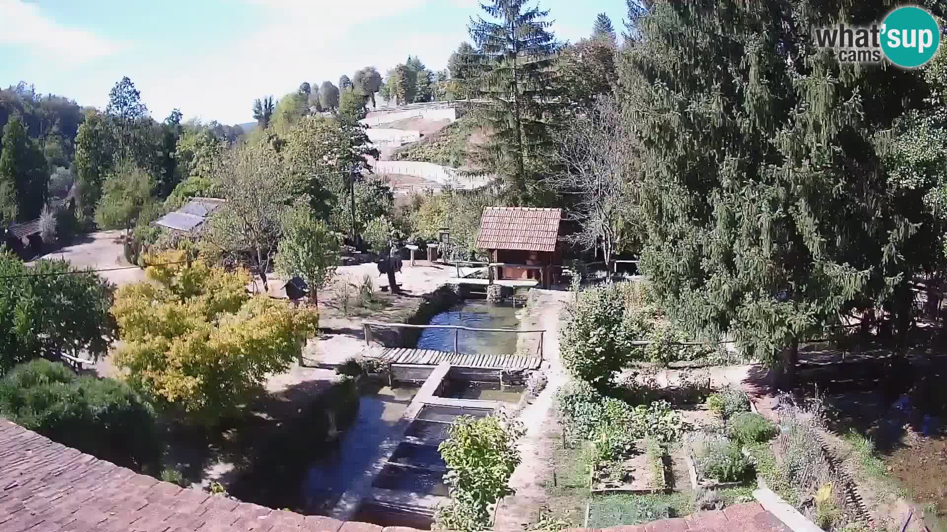 Cámara web en vivo Rastoke – río Slunjčica – Croacia