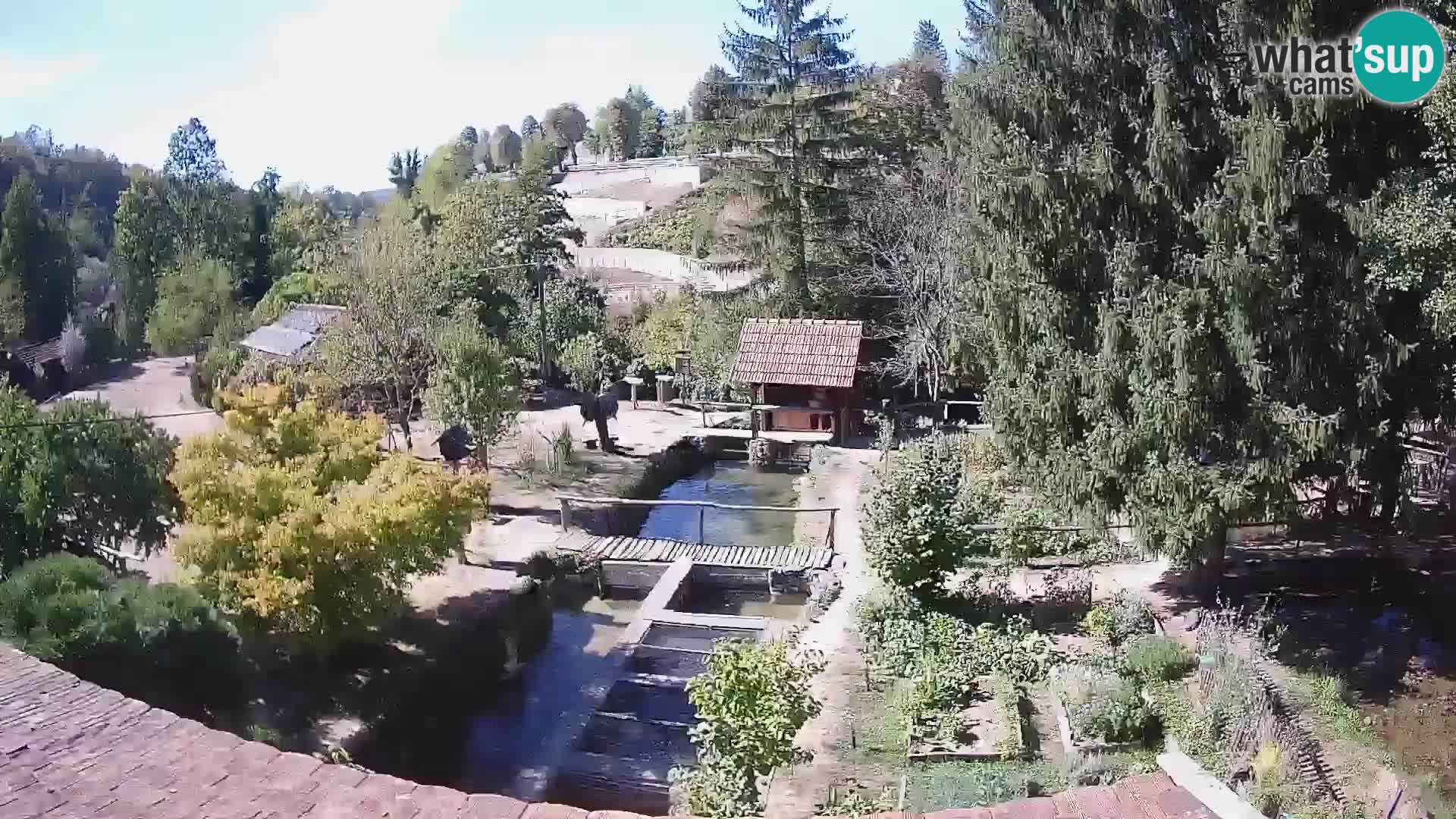Webcam en direct Rastoke – rivière Slunjčica – Croatie