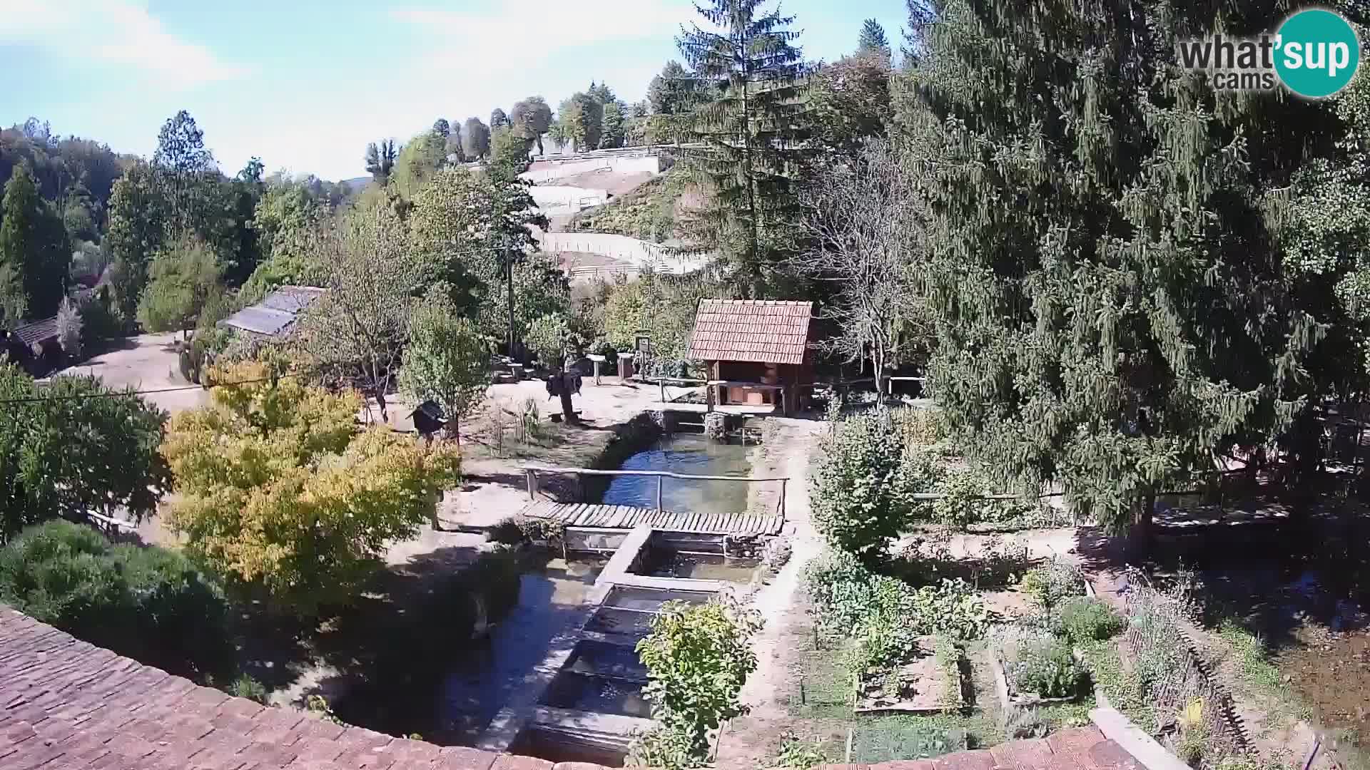 Spletna kamera v živo Rastoke – reka Slunjčica – Hrvaška