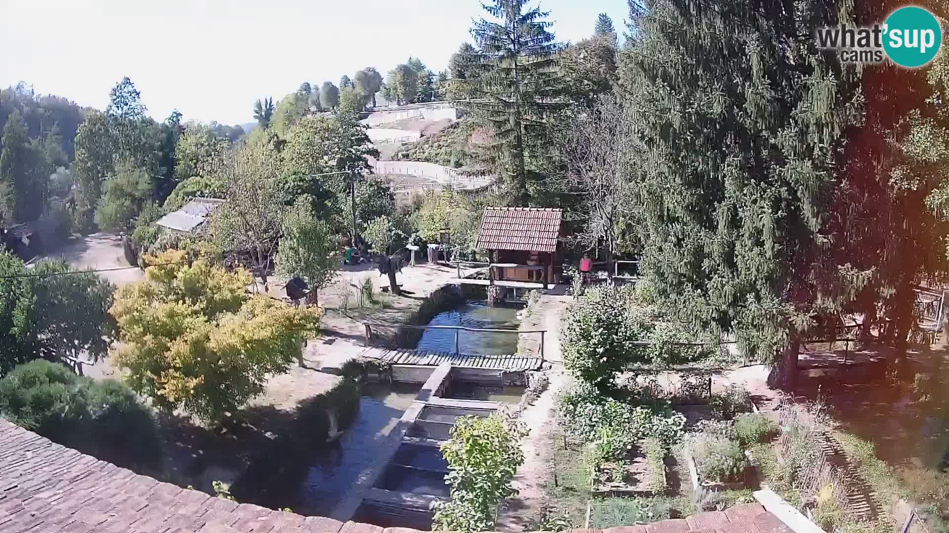 Spletna kamera v živo Rastoke – reka Slunjčica – Hrvaška