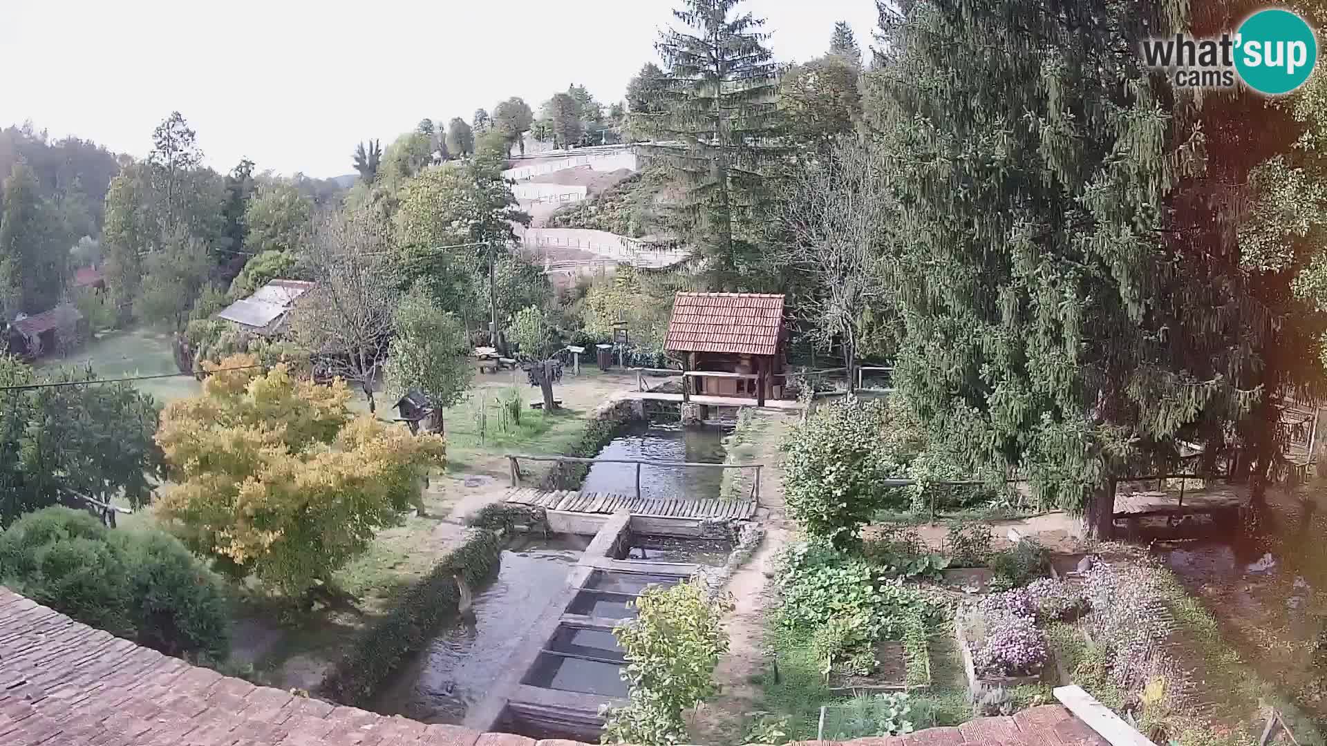 Cámara web en vivo Rastoke – río Slunjčica – Croacia