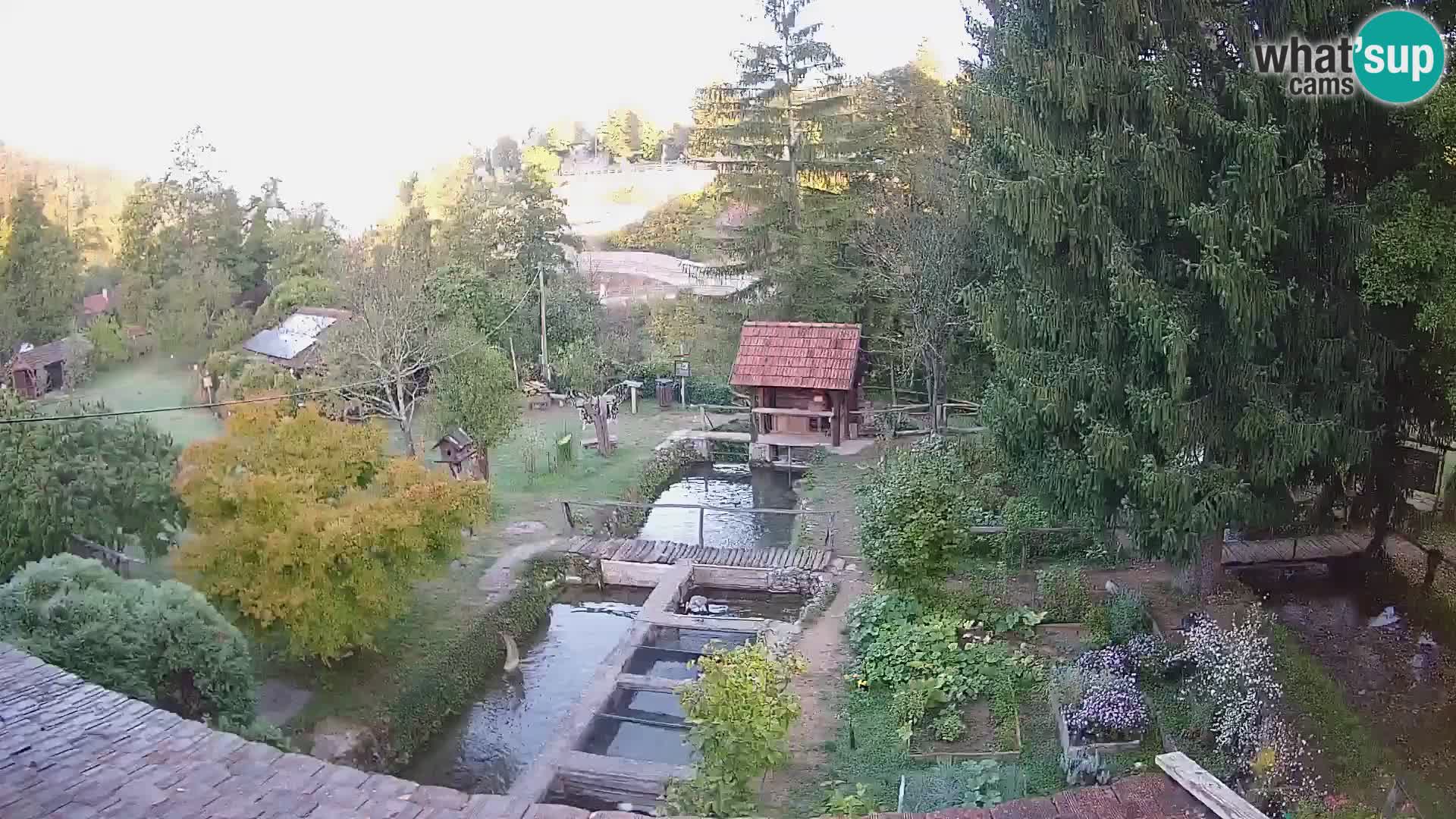 Cámara web en vivo Rastoke – río Slunjčica – Croacia