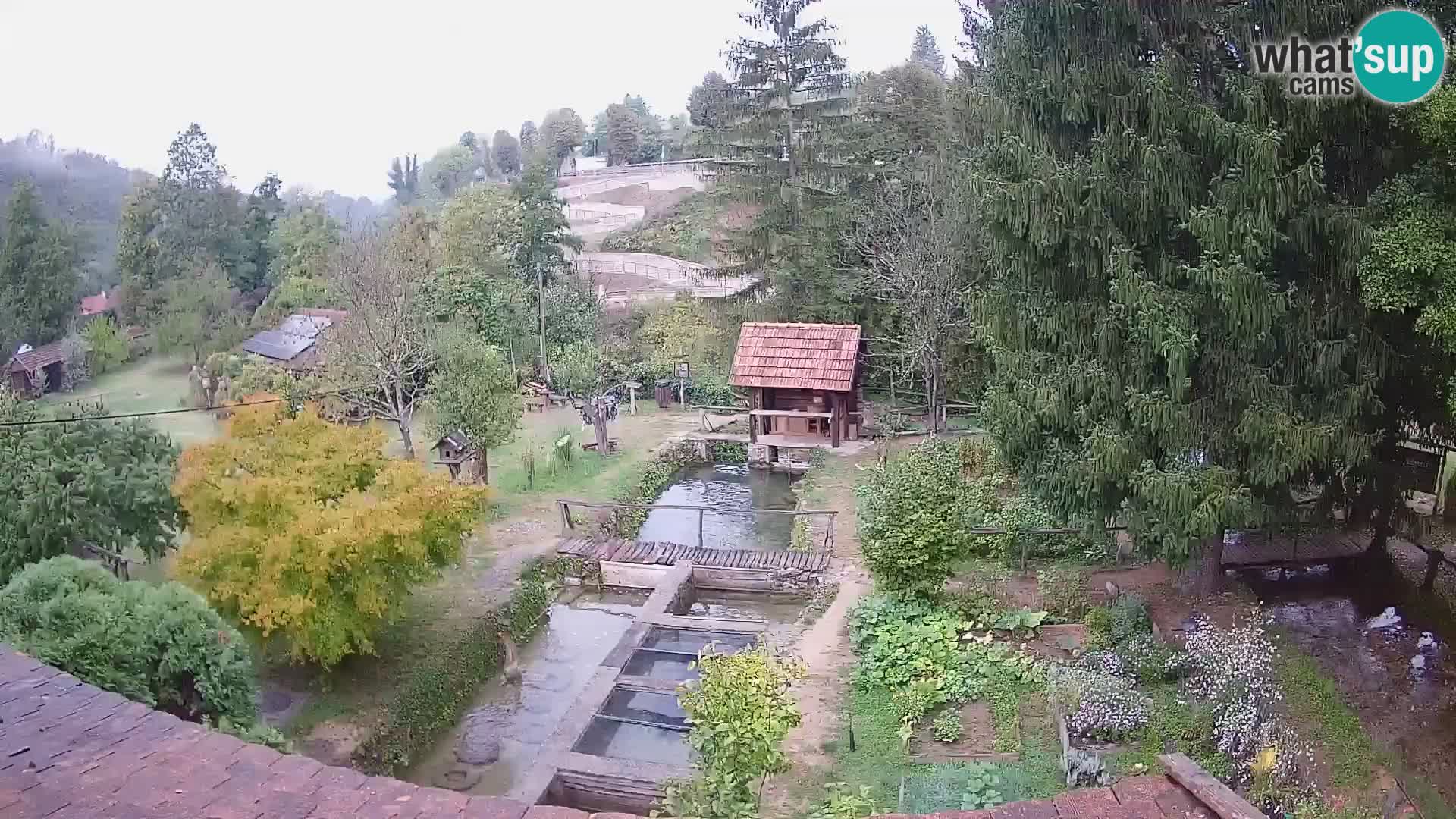 Live webcam Rastoke – river Slunjčica – Croatia
